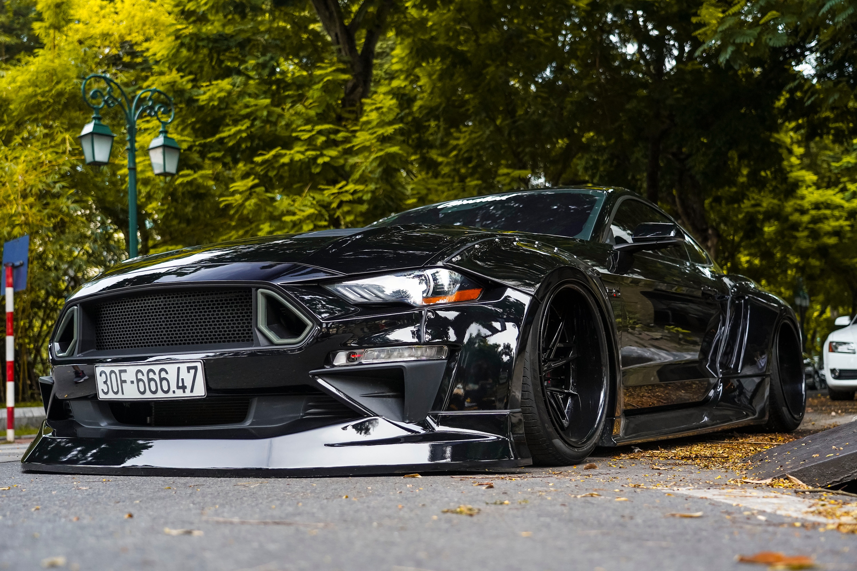 Ford Mustang GT ham ho voi goi do than rong tai Ha Noi hinh anh