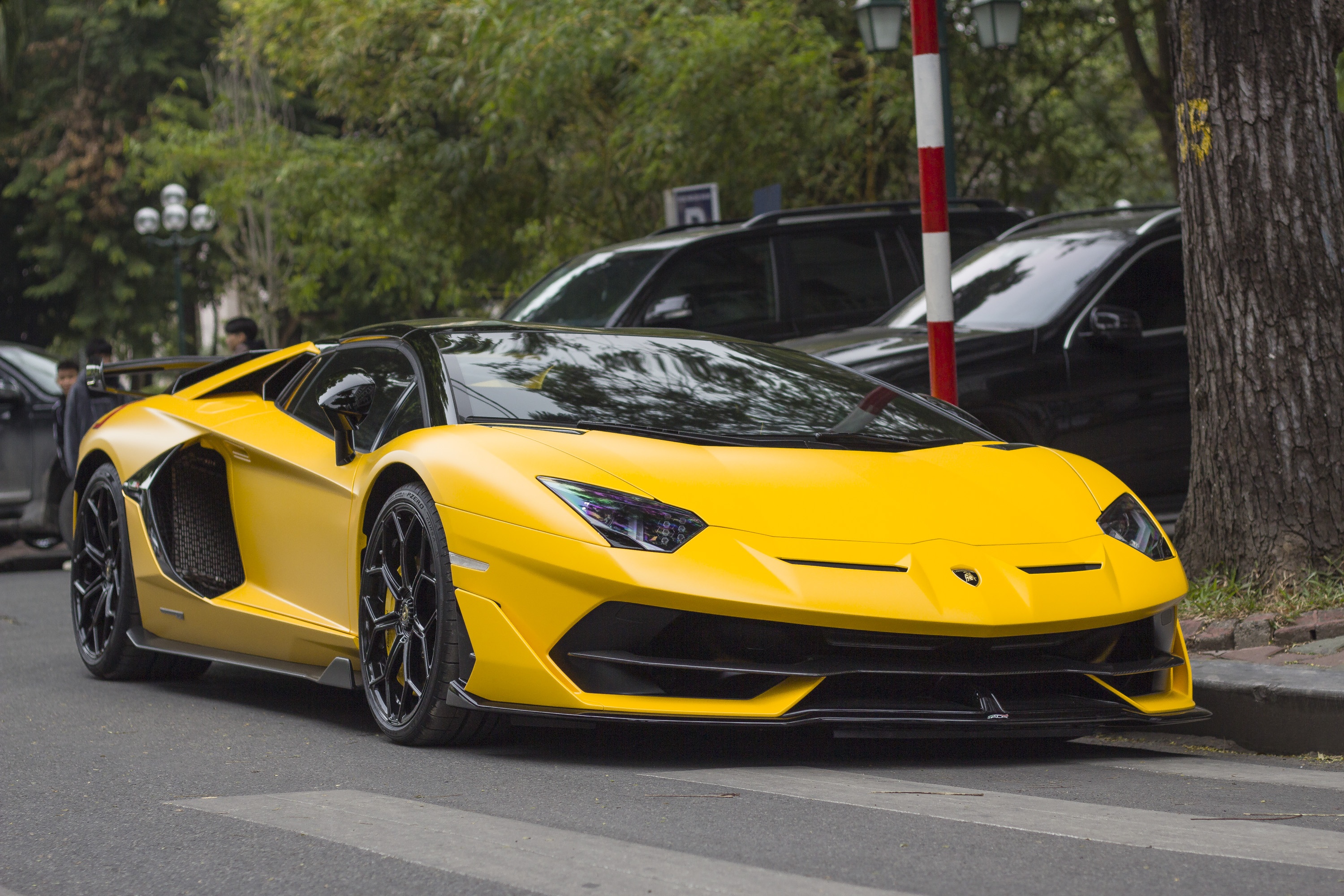 Lamborgnini Aventador SVJ Roadster ve Viet Nam anh 1