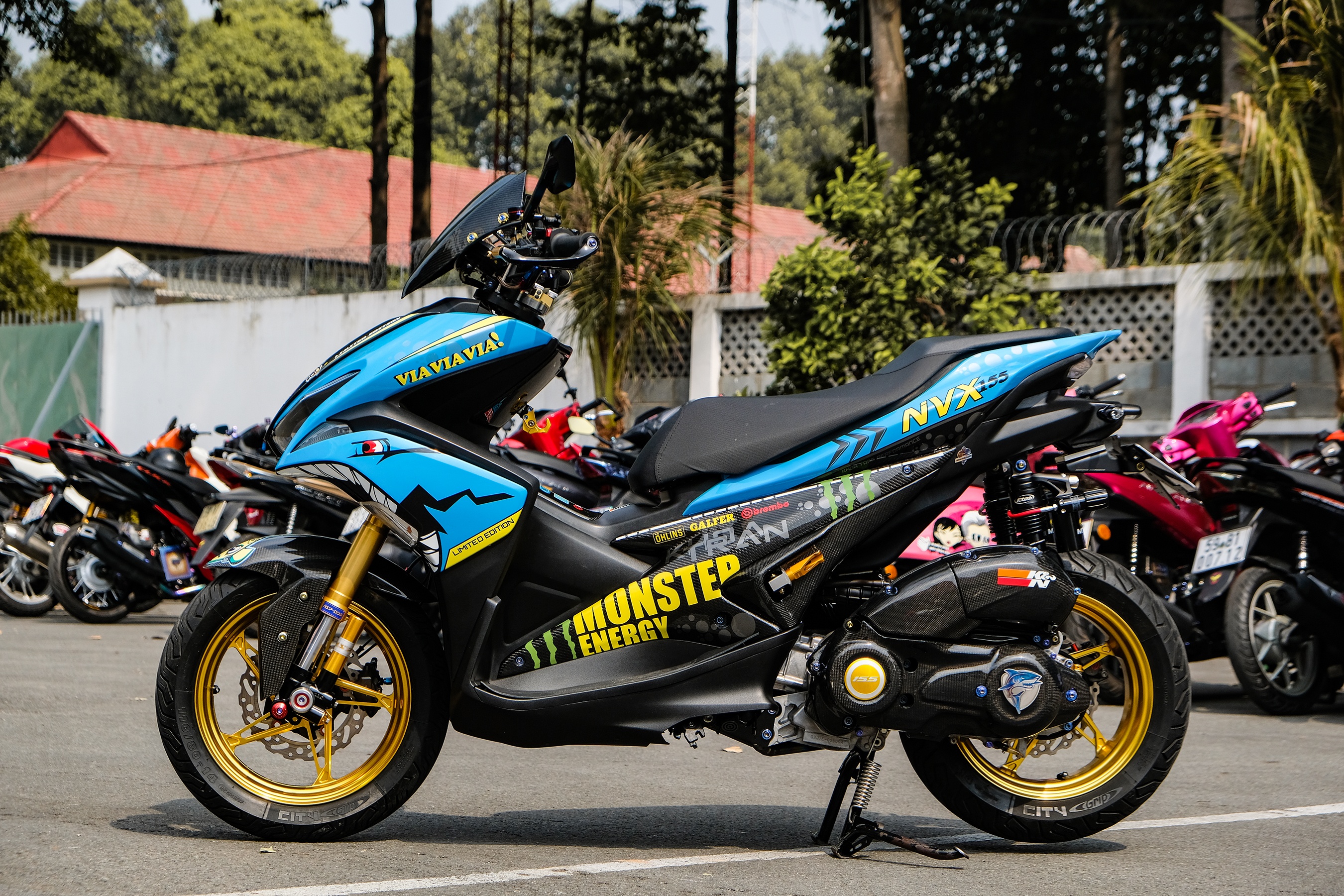 Dan tay ga do tu hop tai TP.HCM anh 5