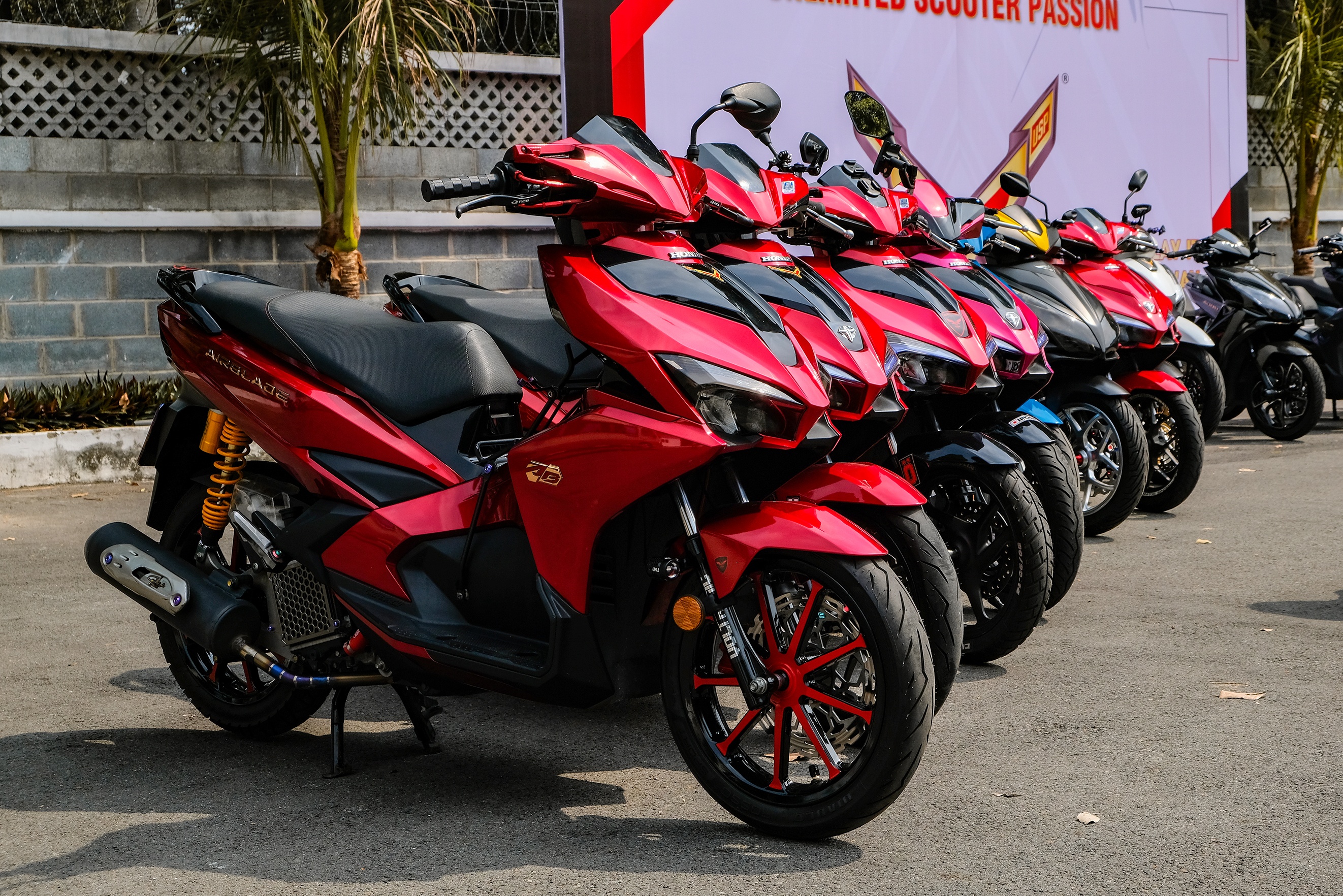 Dan tay ga do tu hop tai TP.HCM anh 6