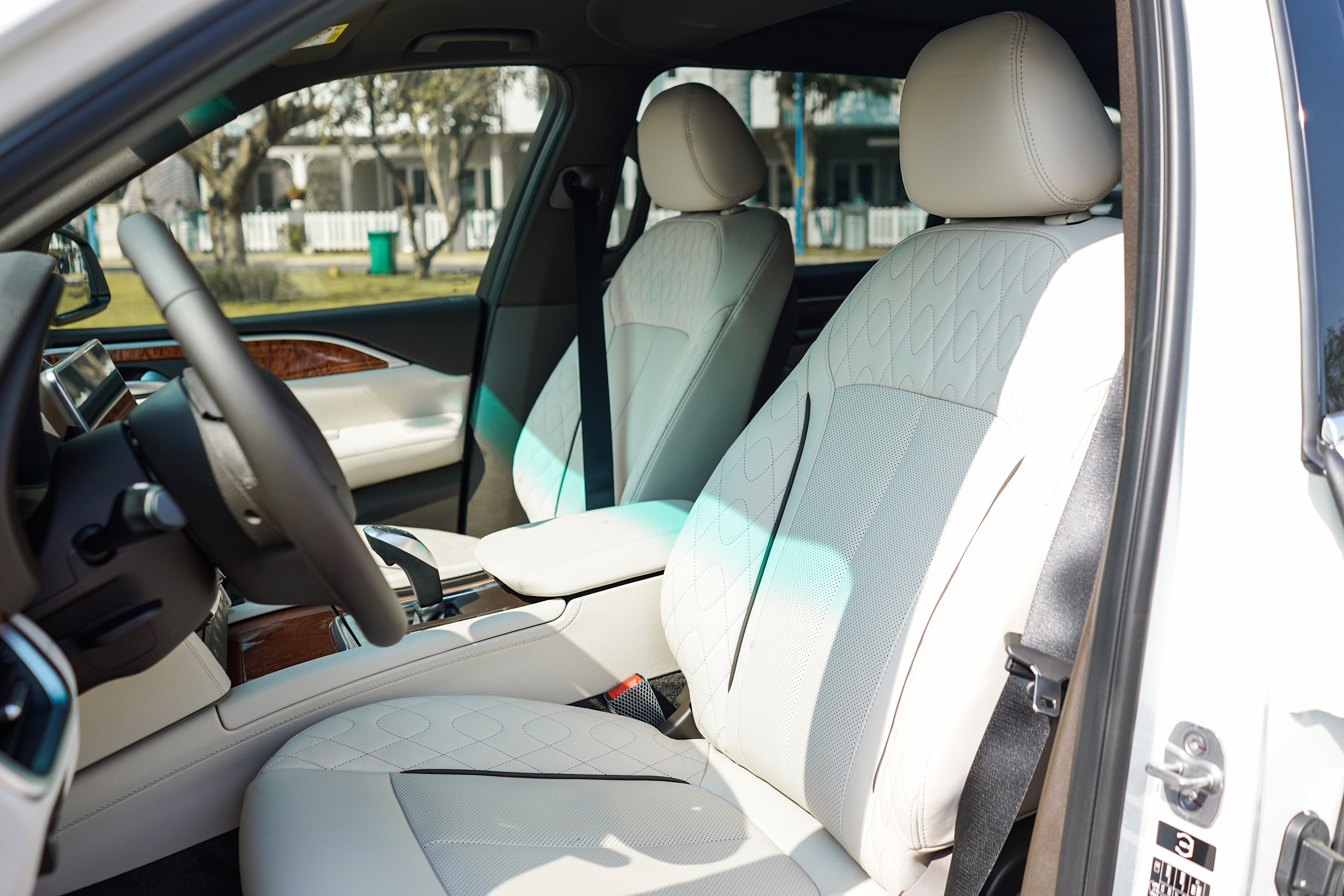 Toyota Land Cruiser ảnh 12 Toyota Land Cruiser anh 12