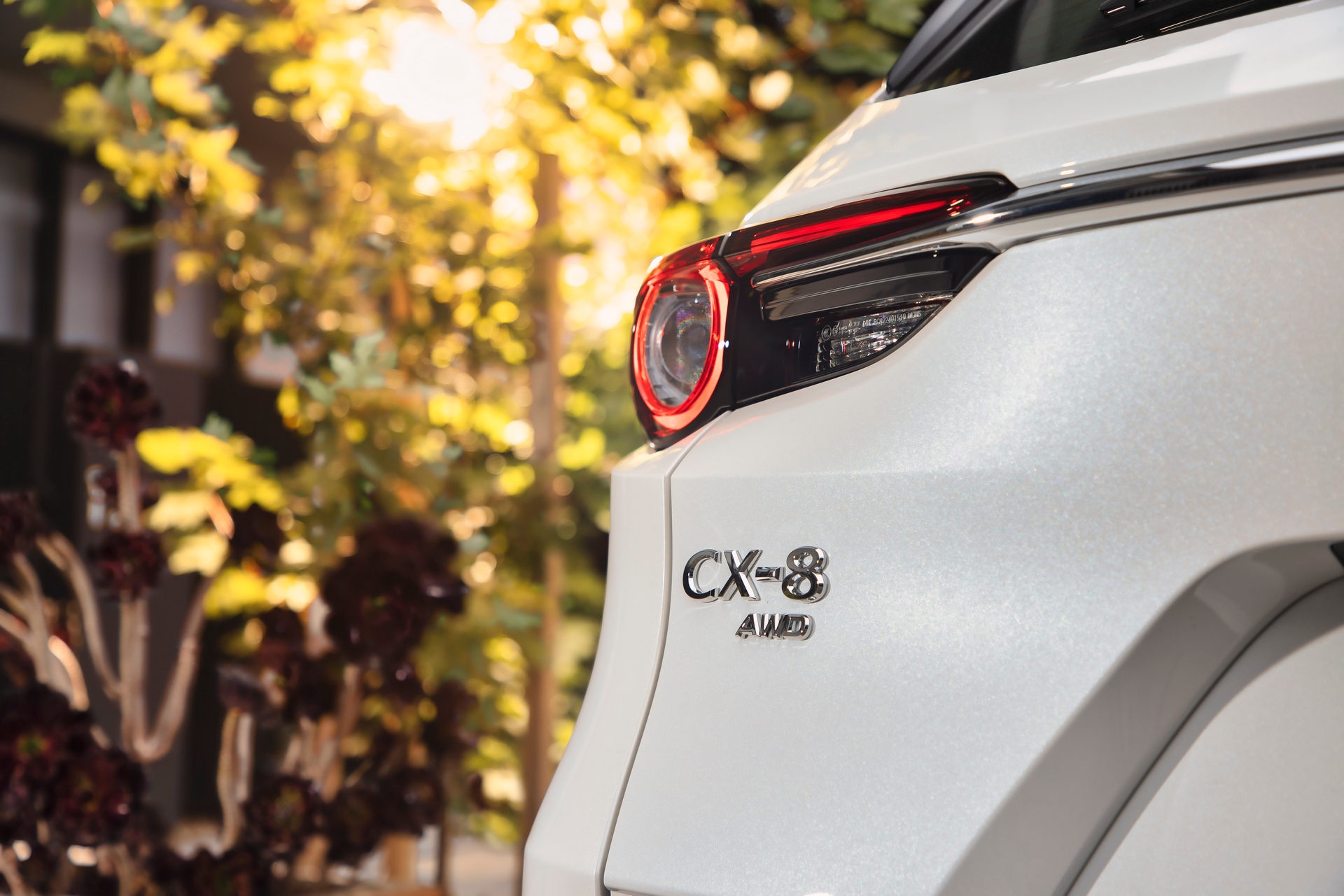 Mazda CX-8 2021 ra mat anh 9