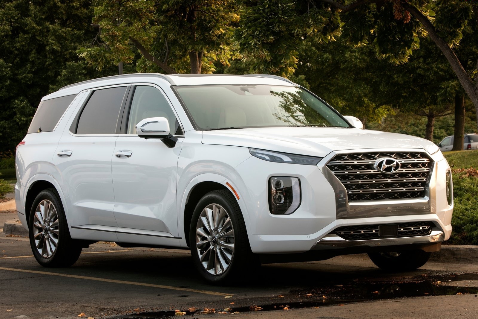 Hyundai Palisade xuất hiện tại TP.HCM ảnh 2 Hyundai Palisade xuat hien tai TP.HCM anh 2