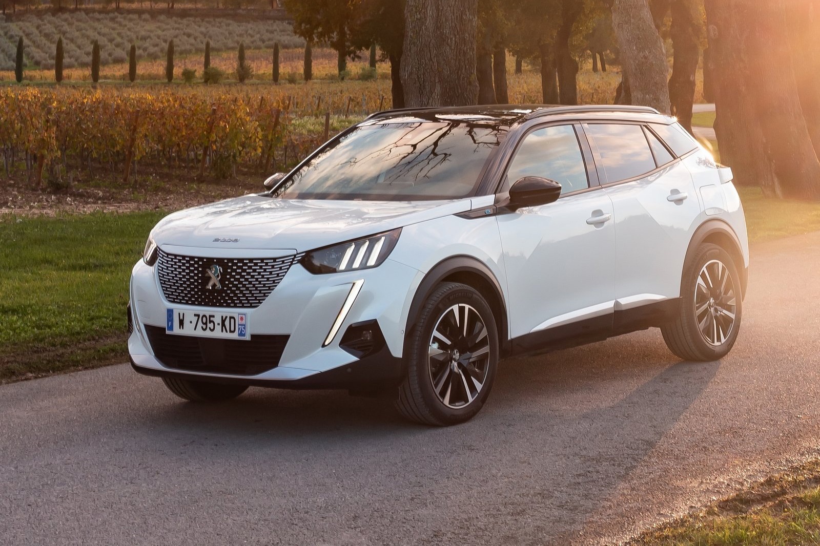 Xe dien cua VinFast kho co doi thu canh tranh tai Viet Nam anh 4