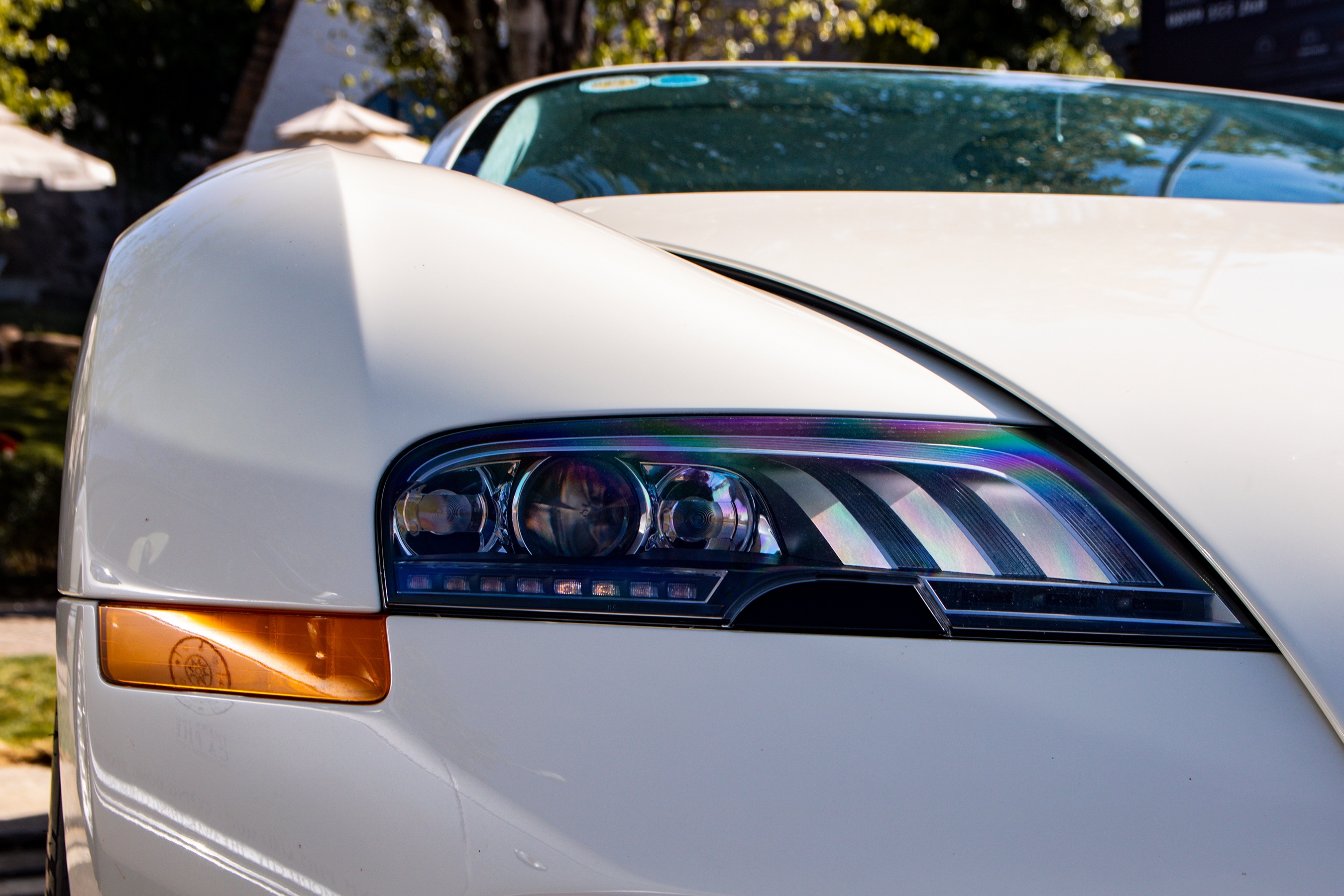 Bugatti Veyron cua ong Dang Le Nguyen Vu tai xuat anh 5