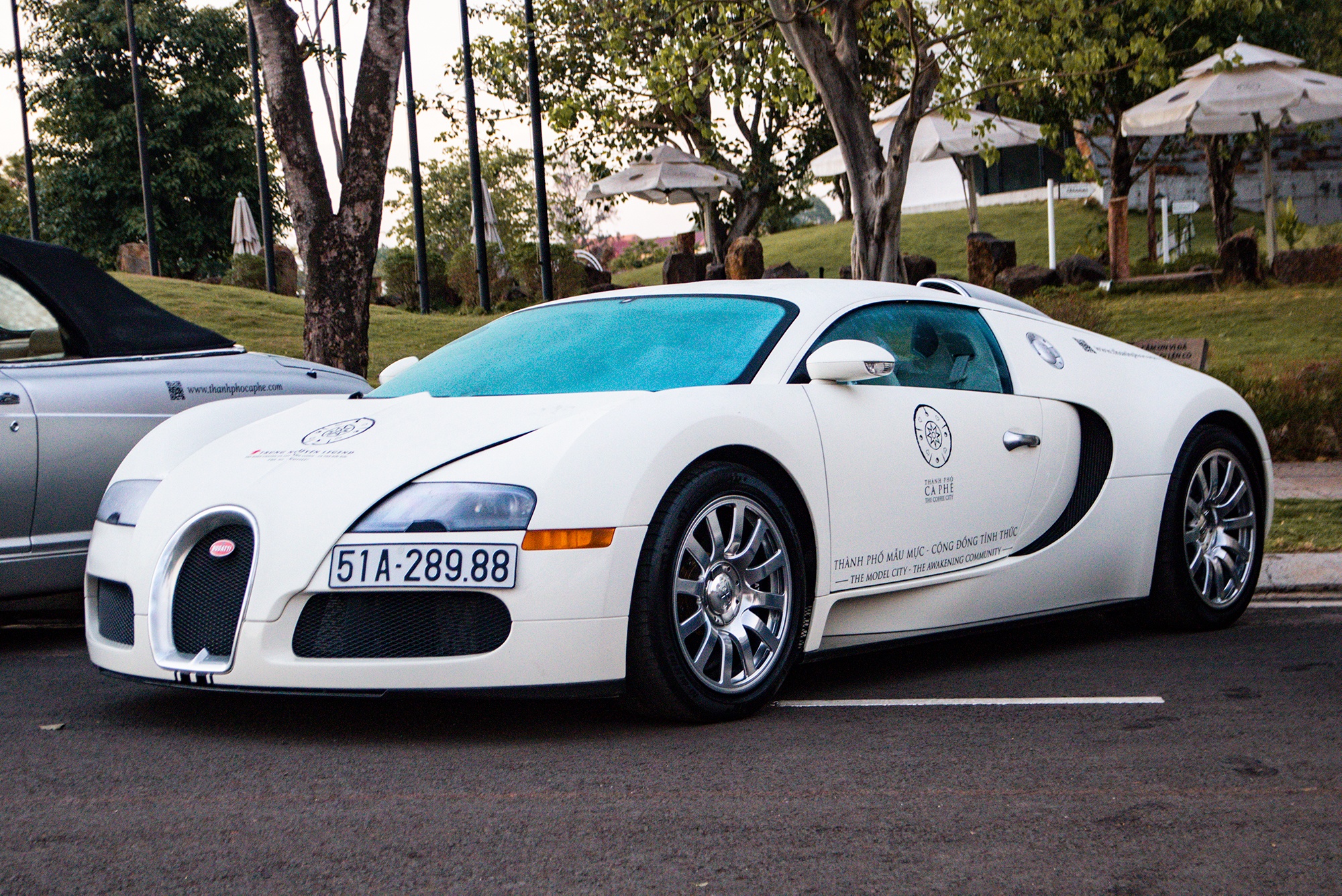 Bugatti Veyron cua ong Dang Le Nguyen Vu tai xuat sau 2 nam vang bong hinh anh