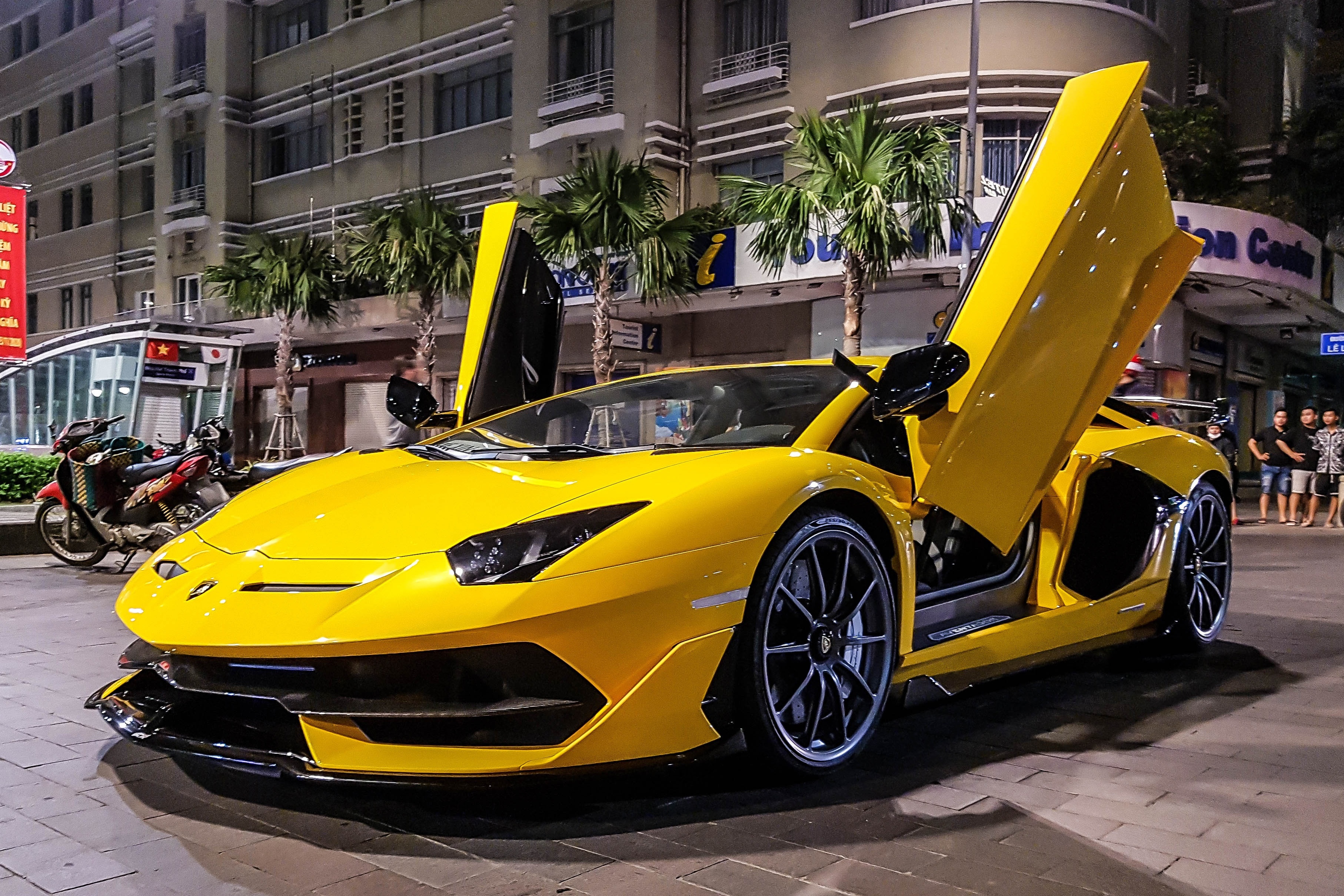 Nhung chiec Lamborghini hang doc tai Viet Nam hinh anh