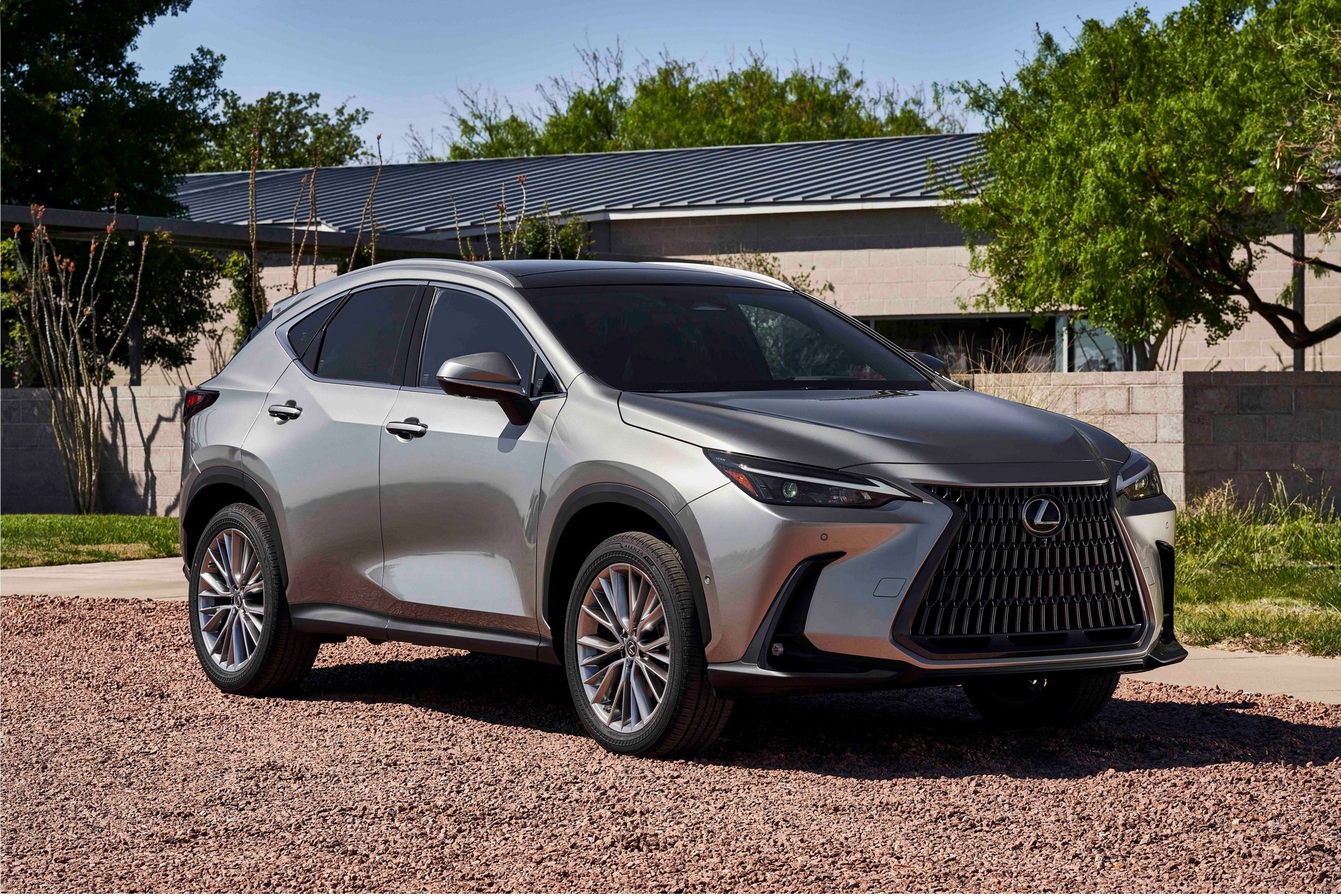 Lexus NX 2022 duoc ra mat anh 2