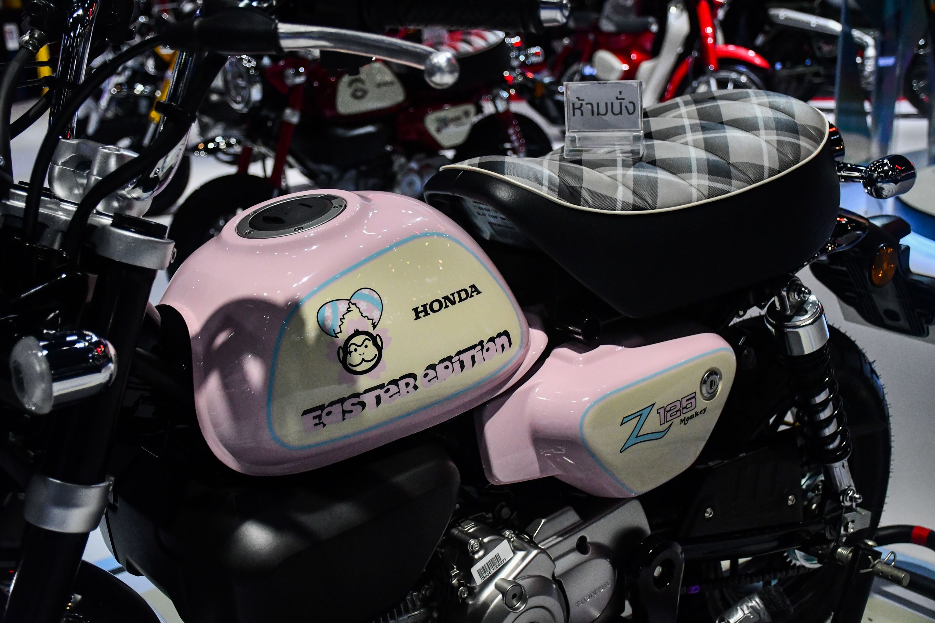 Monkey Easter Egg anh 5