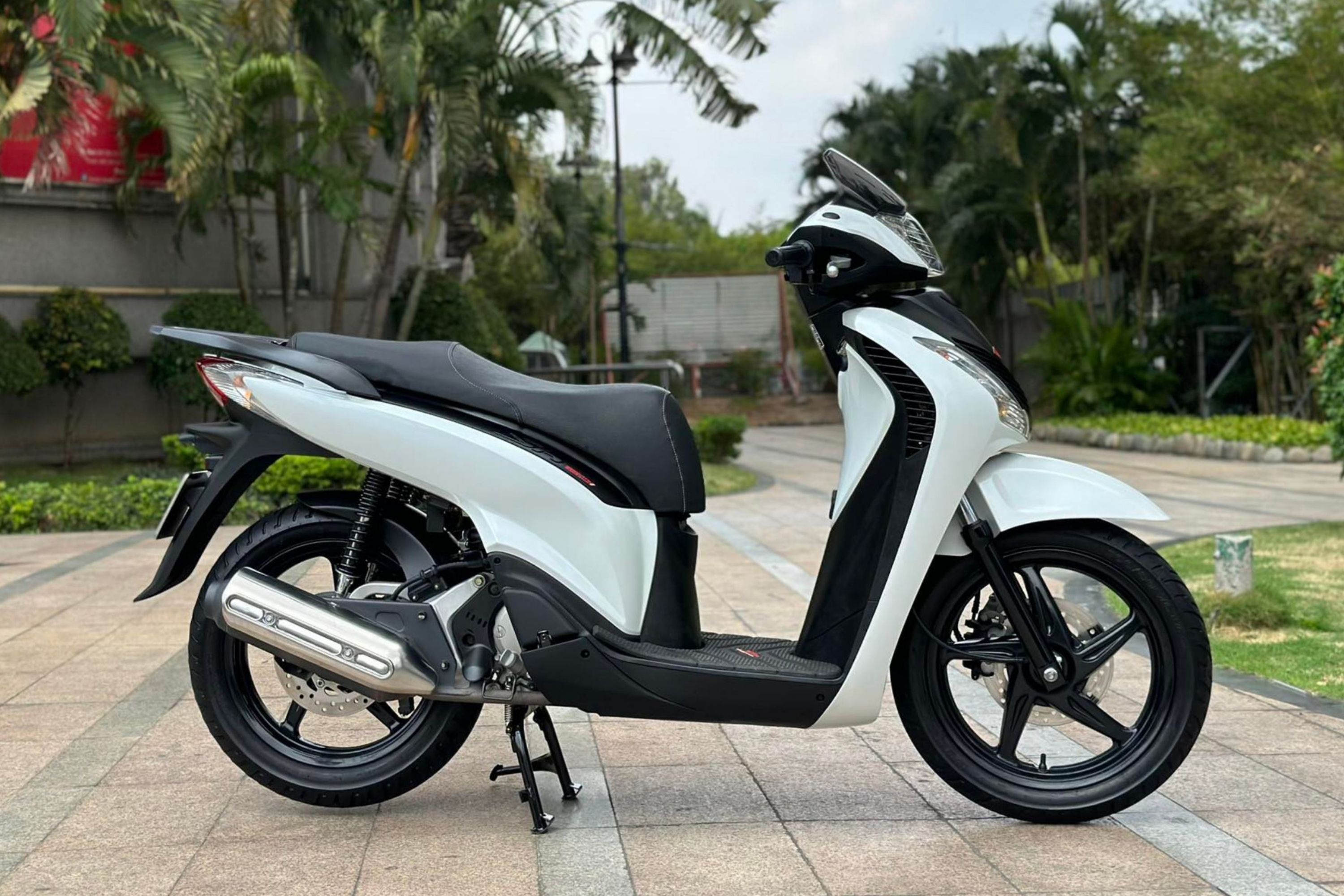 SH biển ngũ quý 9 ảnh 2 SH bien ngu quy 9 anh 2
