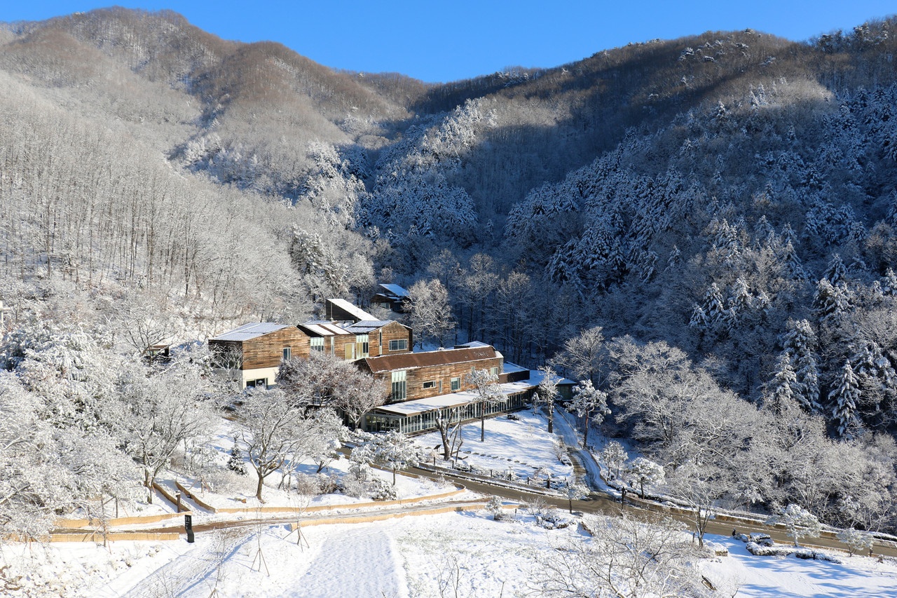 Olympics mua Dong Han Quoc anh 1