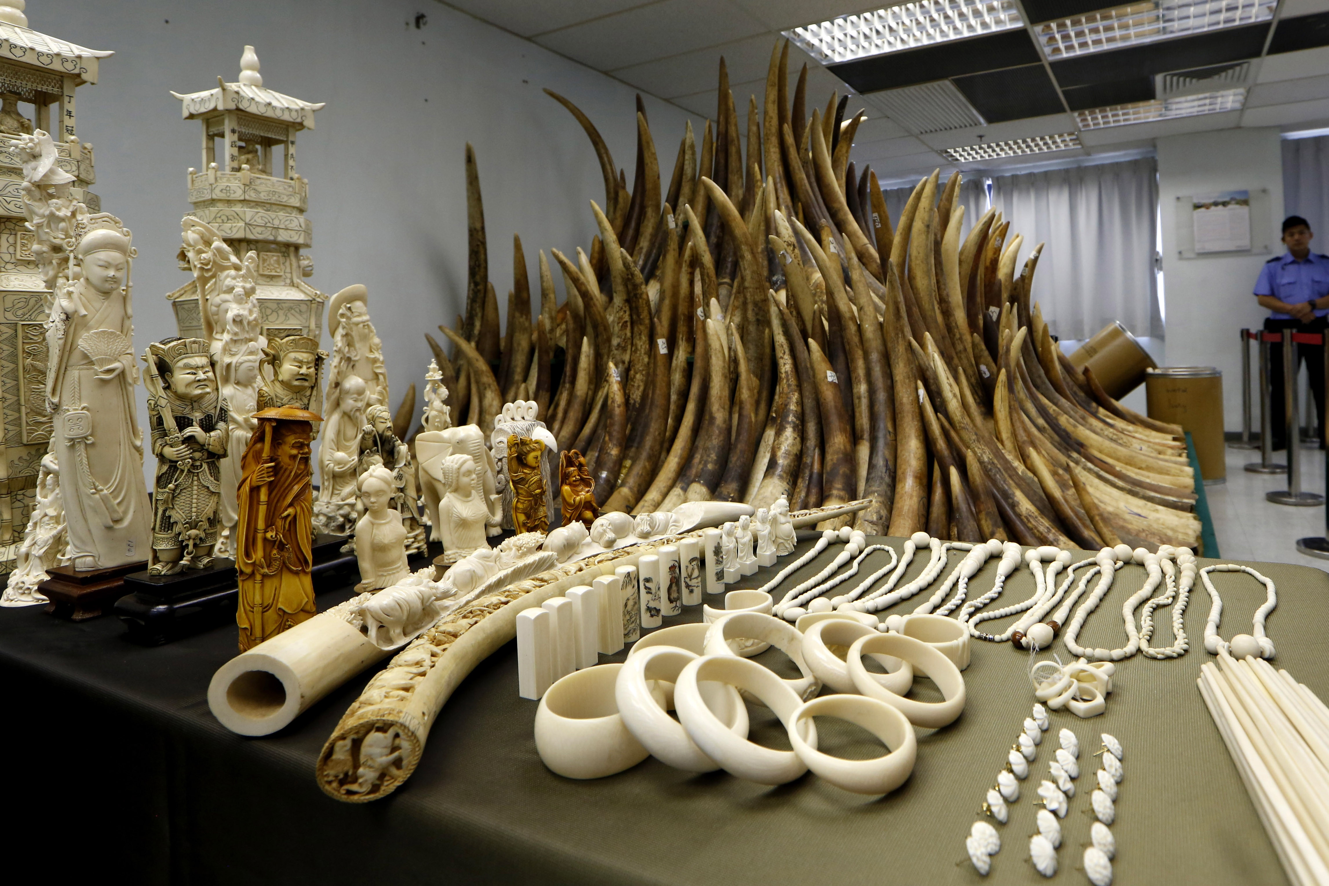 lệnh cấm buôn bán ngà voi của Trung Quốc ảnh 2 lenh cam buon ban nga voi cua Trung Quoc anh 2