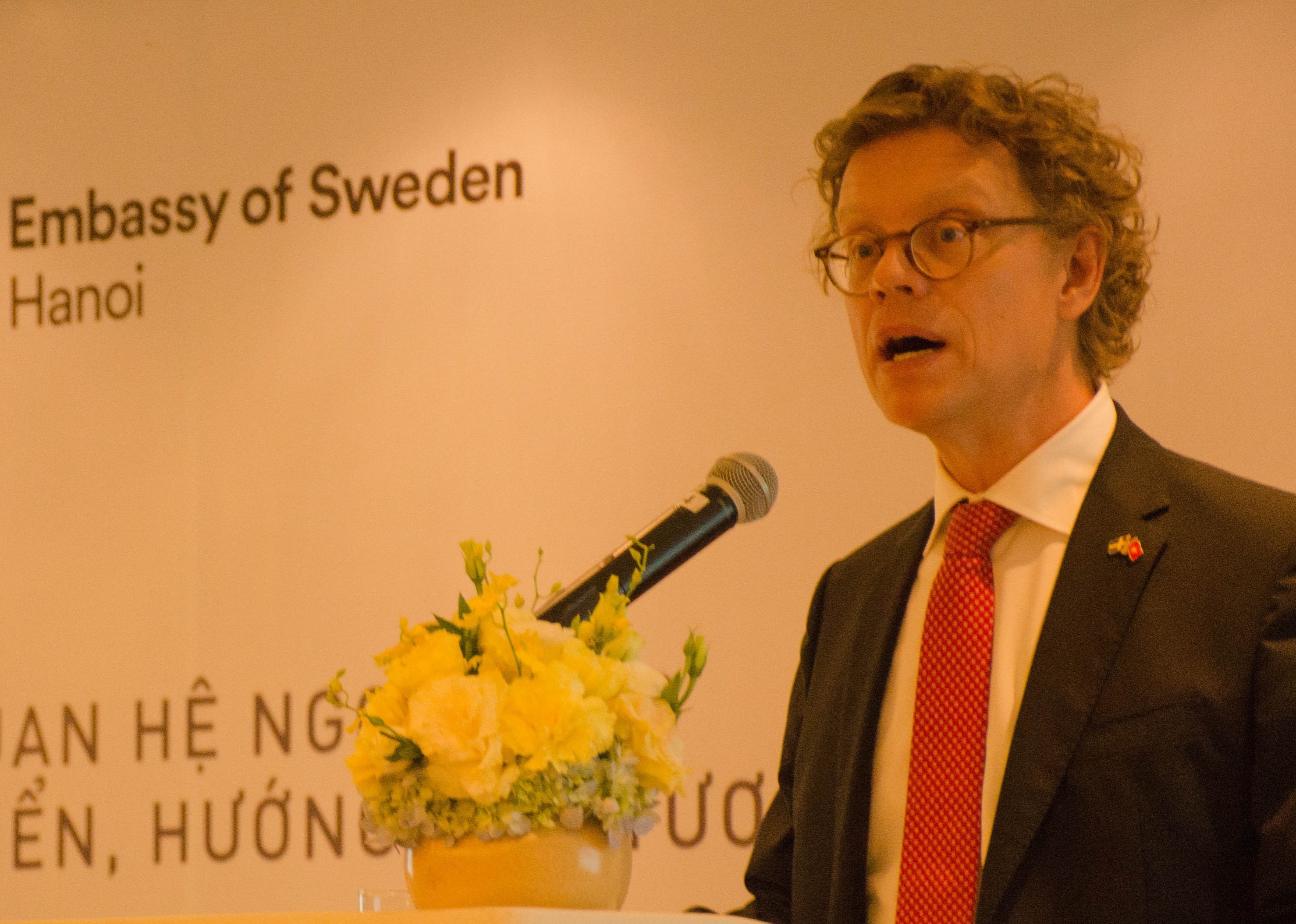 Viet Nam, Thuy Dien ky niem 'tinh ban nua the ky' hinh anh