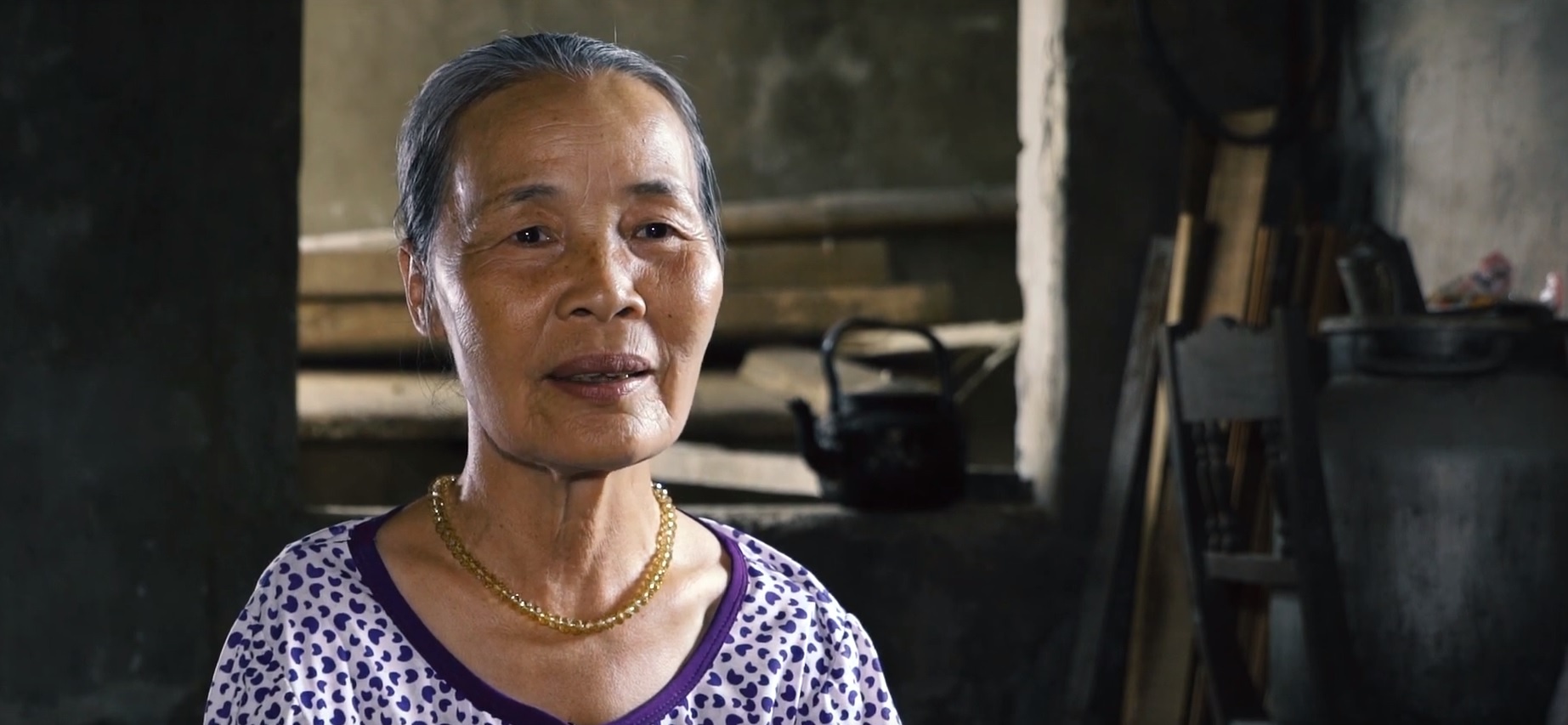 du an xay nha chong bao lu ven bien anh 2