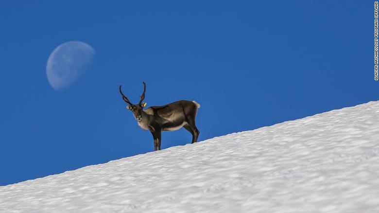 bang tan bac cuc anh 6