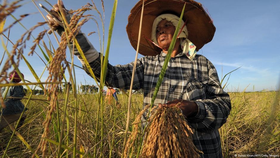 bầu cử Thái Lan ảnh 5 bau cu Thai Lan anh 5