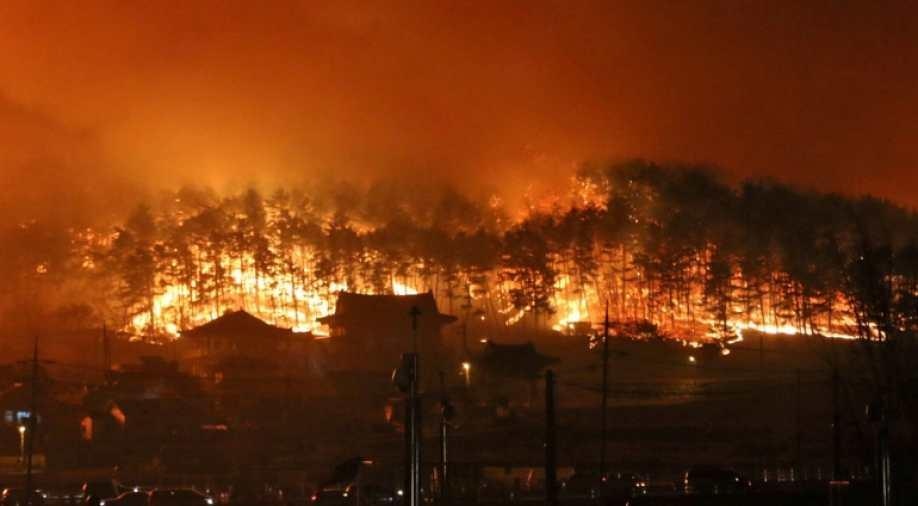 chay o Han Quoc anh 8