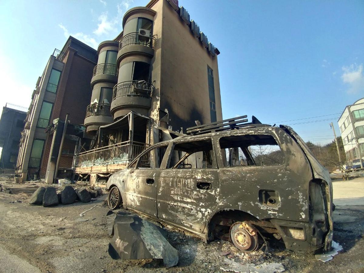 chay o Han Quoc anh 10