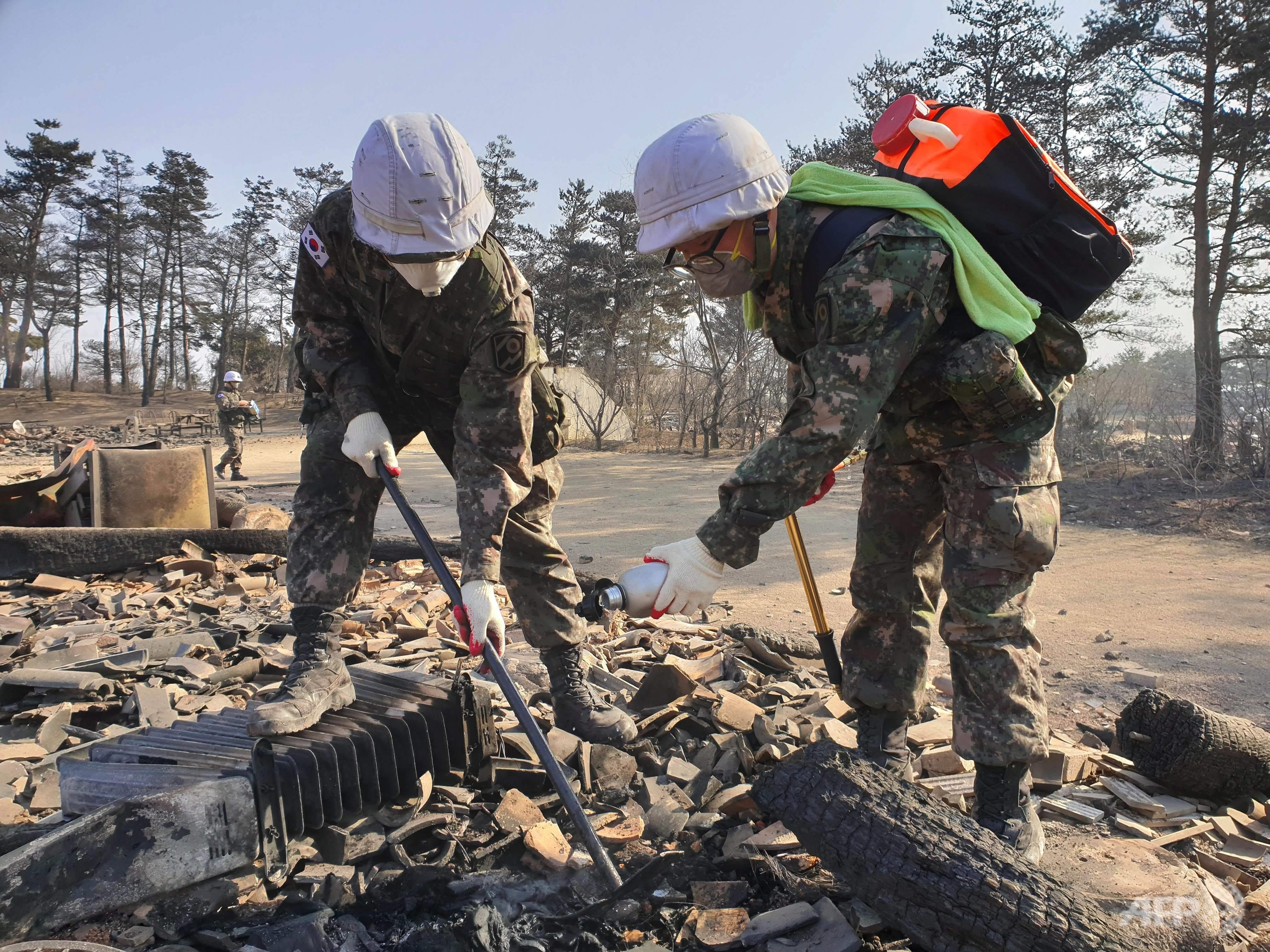 chay o Han Quoc anh 14