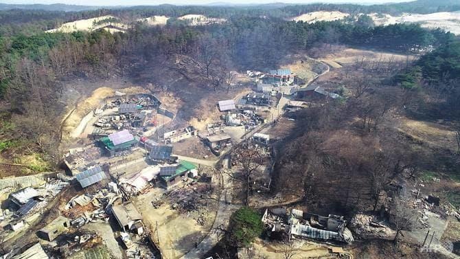 chay o Han Quoc anh 11