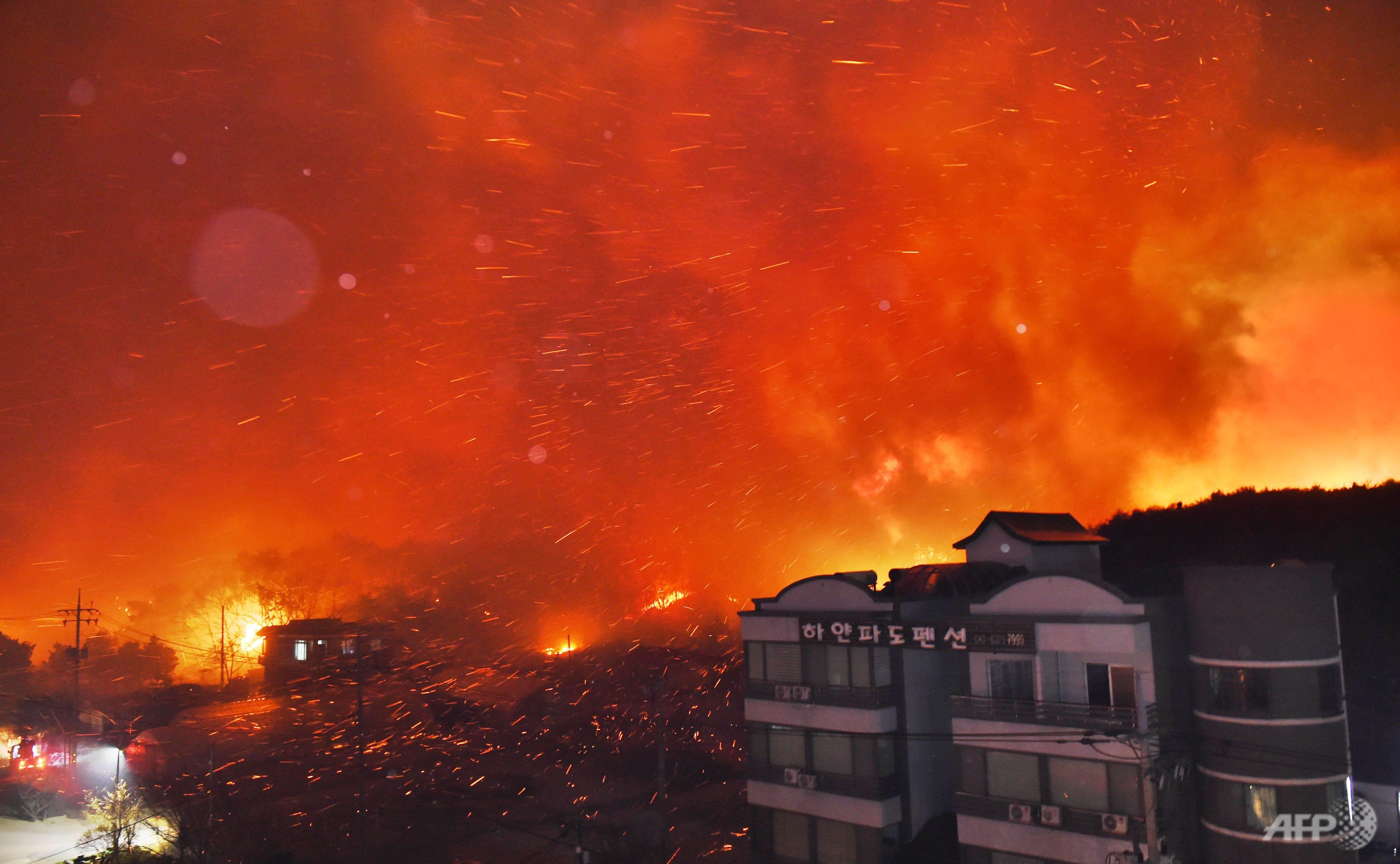 chay o Han Quoc anh 5