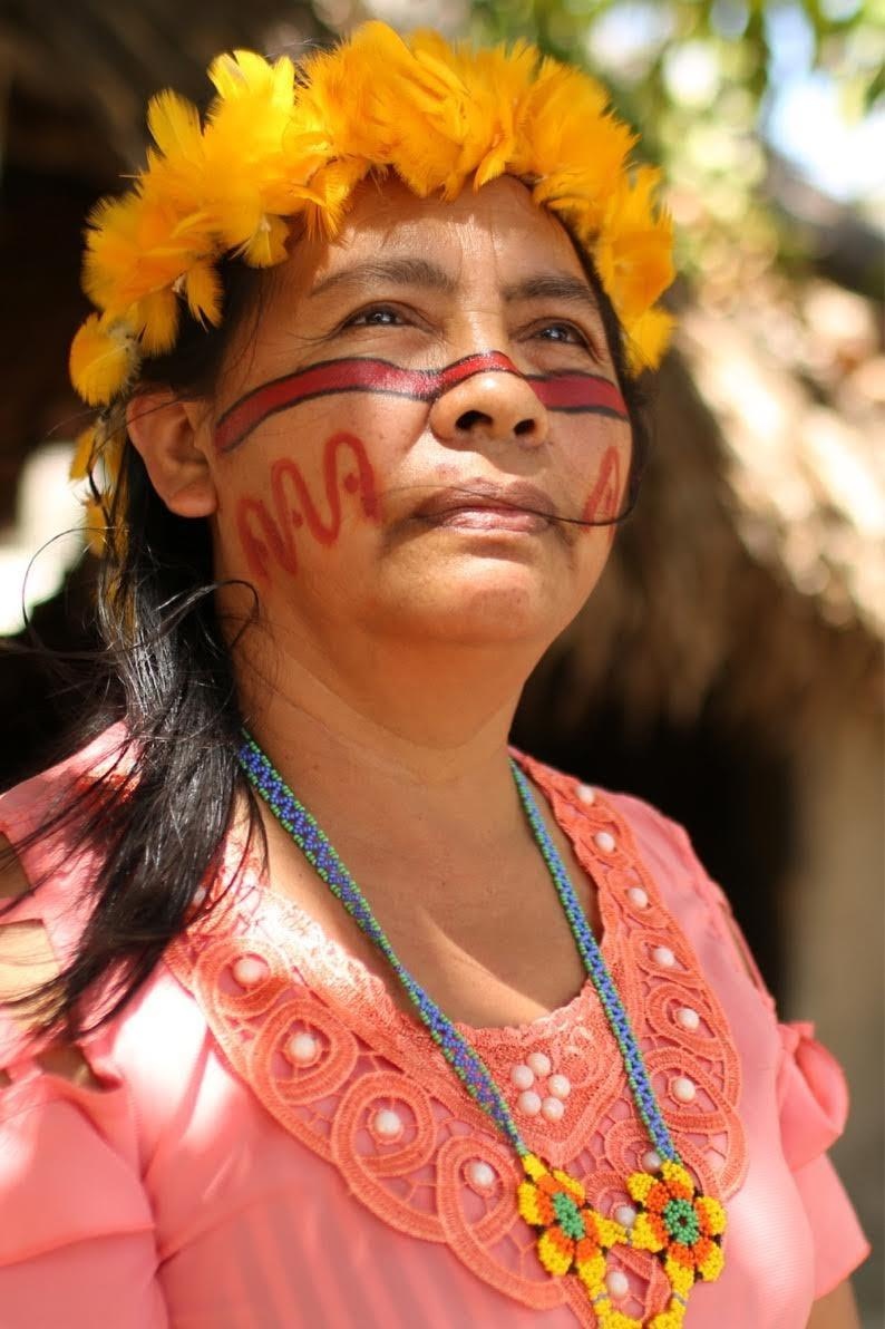 bolsonaro tong thong Brazil anh 10