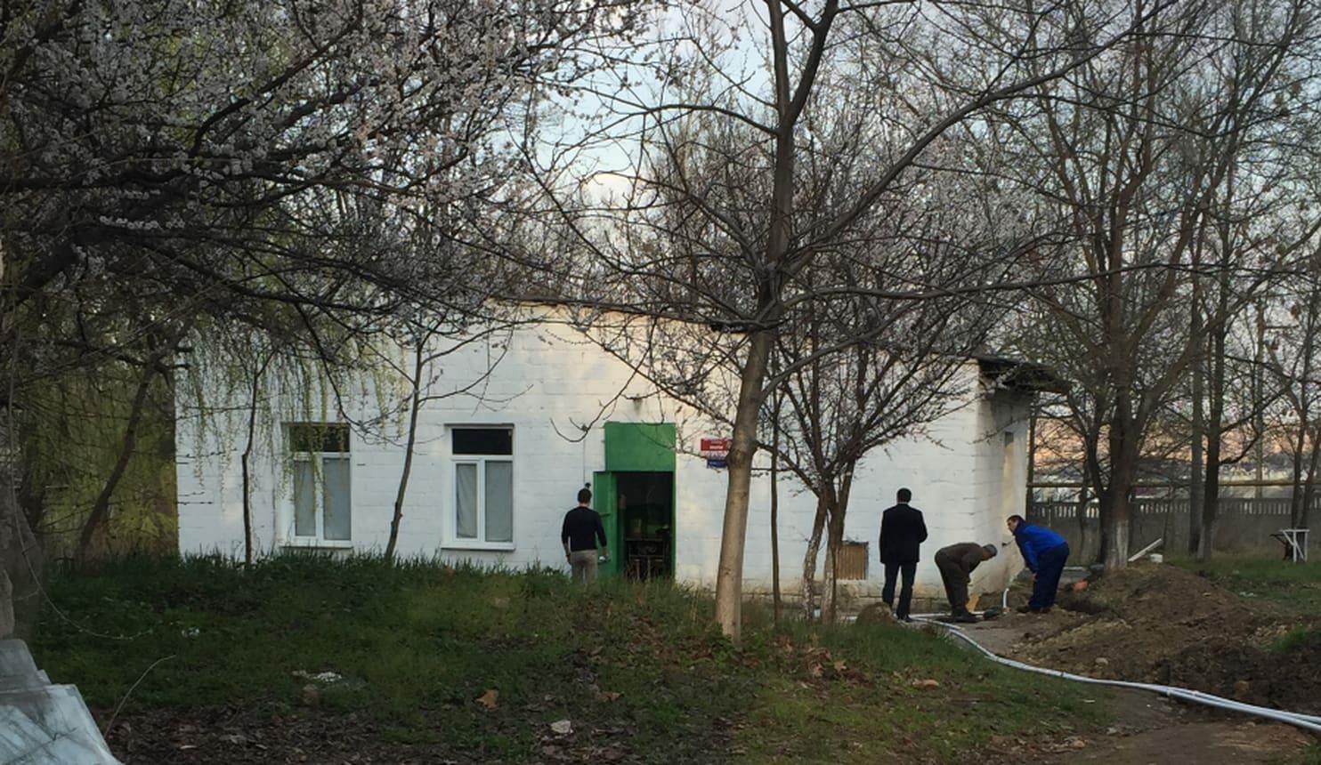 lua dao gian lan bao hiem anh 2