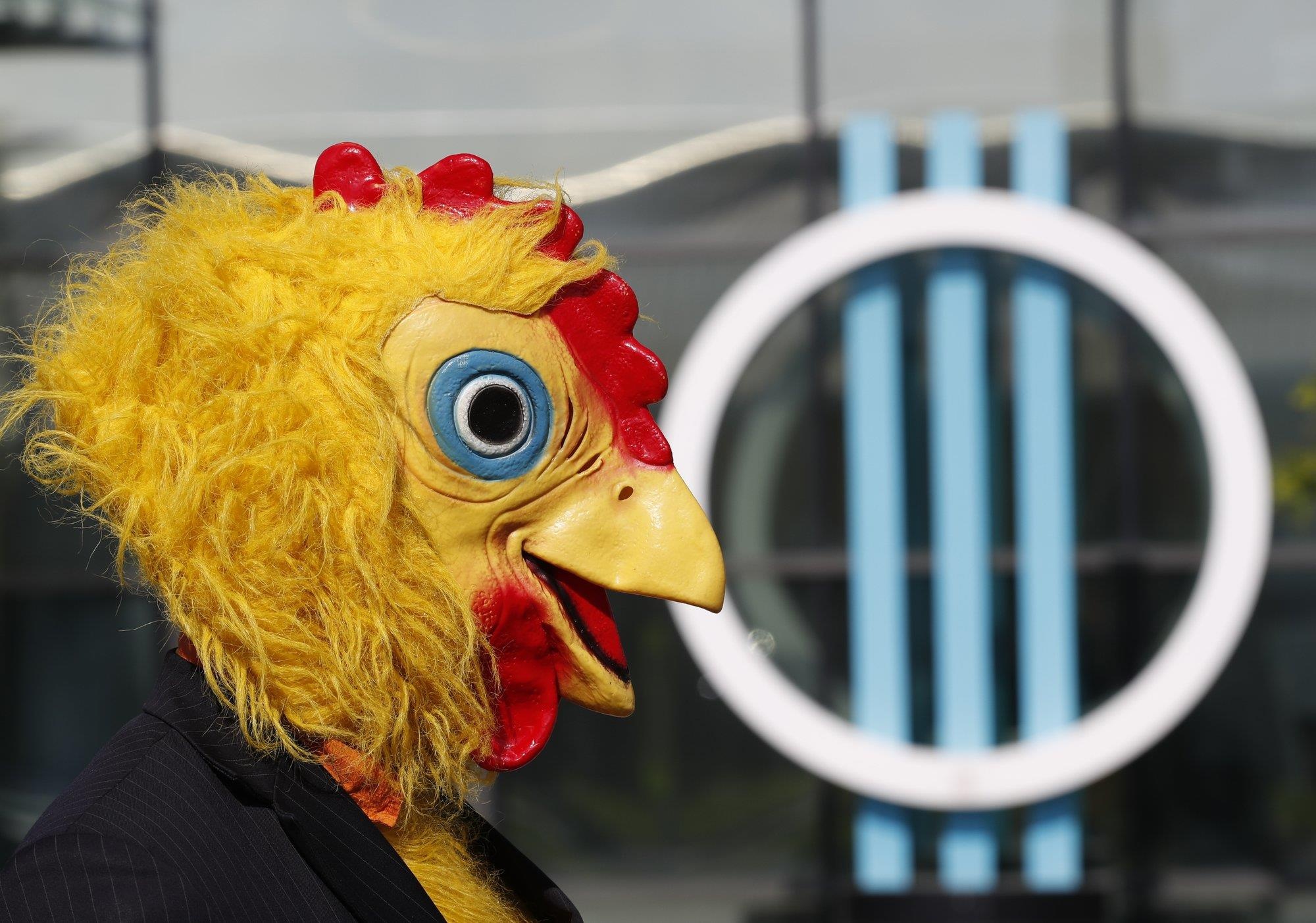 Gia lam ga, keu cuc tac tren tivi - chieu van dong tranh cu o Hungary hinh anh