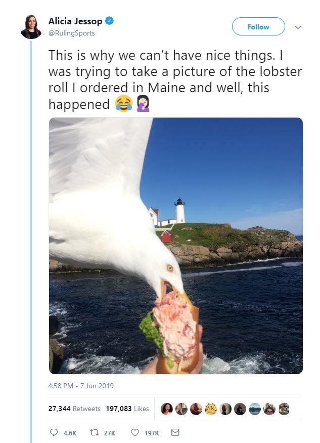 hai au cuop do an anh 1