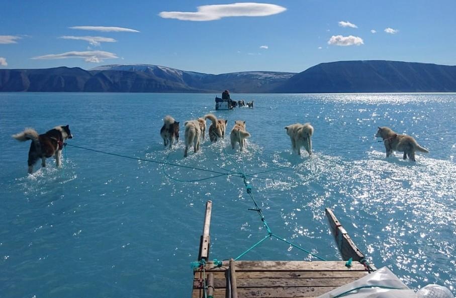 Buc anh gay kinh ngac lot ta thuc te tran trui o Greenland hinh anh