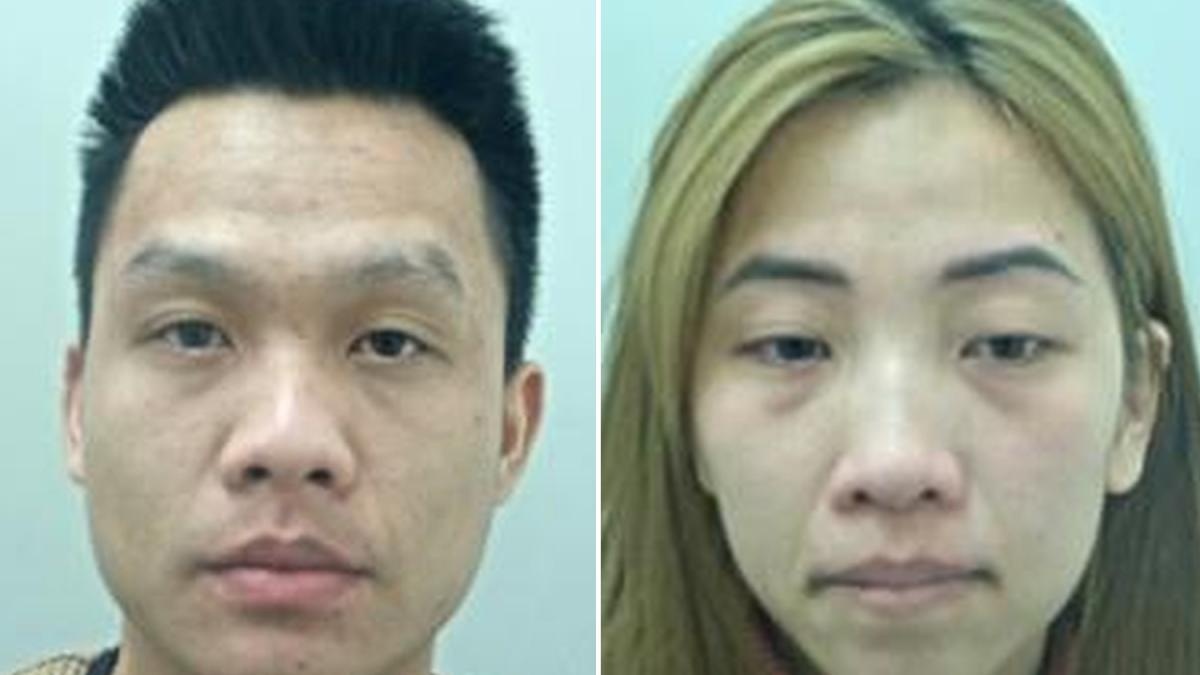 Toi pham goc Viet loi dung lo hong luat Anh, vao trai tre roi bo tron hinh anh