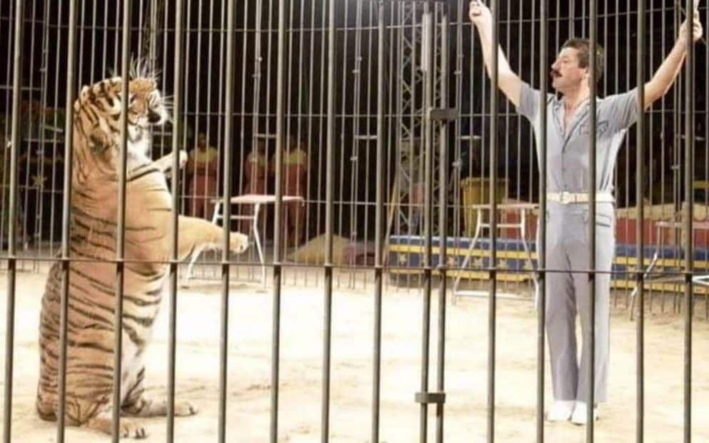 hổ cắn chết ảnh 1 ho can chet anh 1