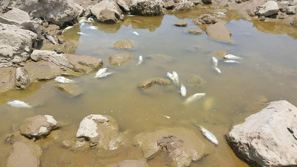 nước sông Mekong xuống thấp kỷ lục ảnh 1 nuoc song Mekong xuong thap ky luc anh 1