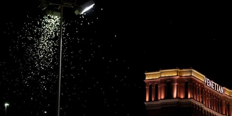 chau chau Las Vegas anh 5