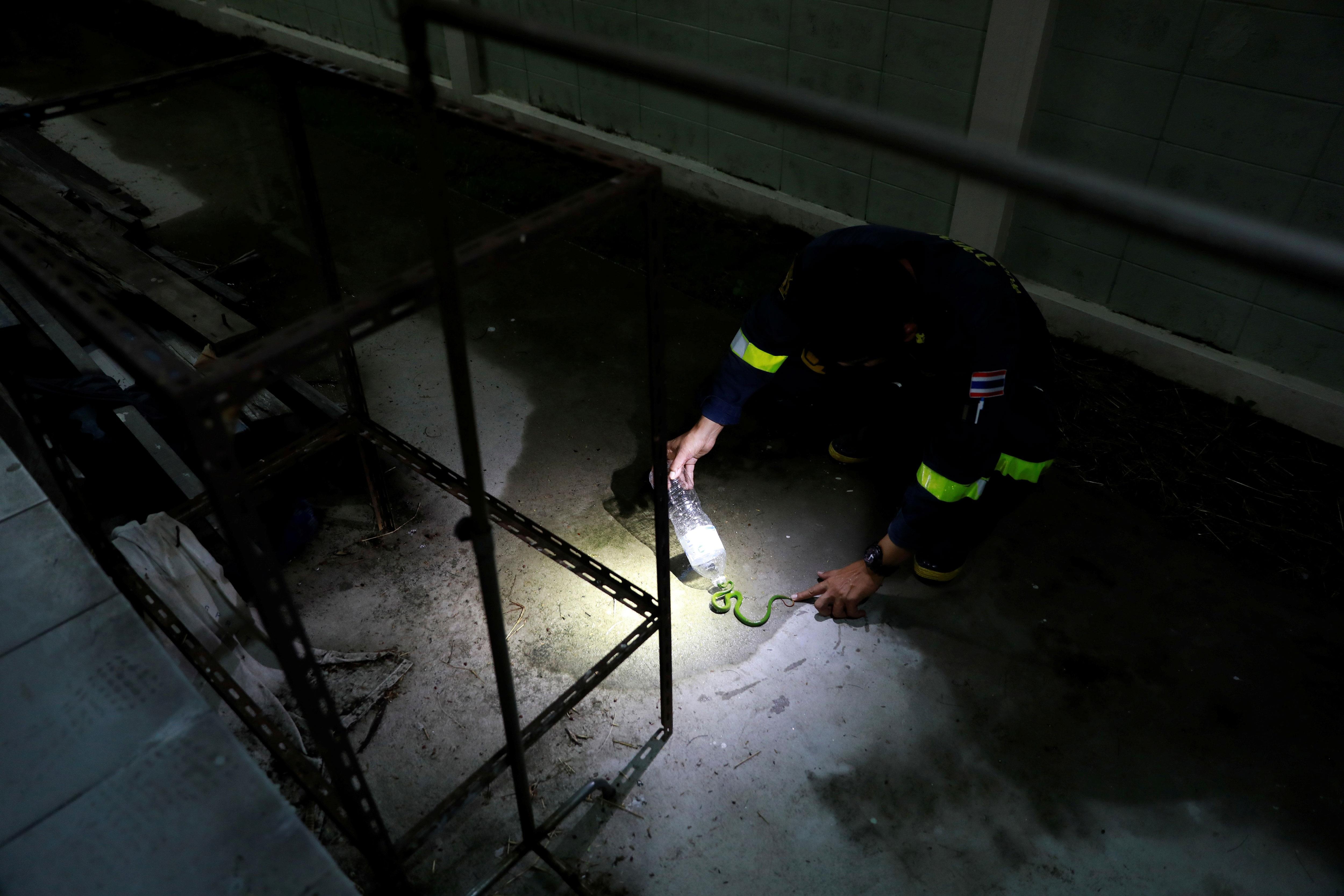 tho bat ran o Bangkok anh 8