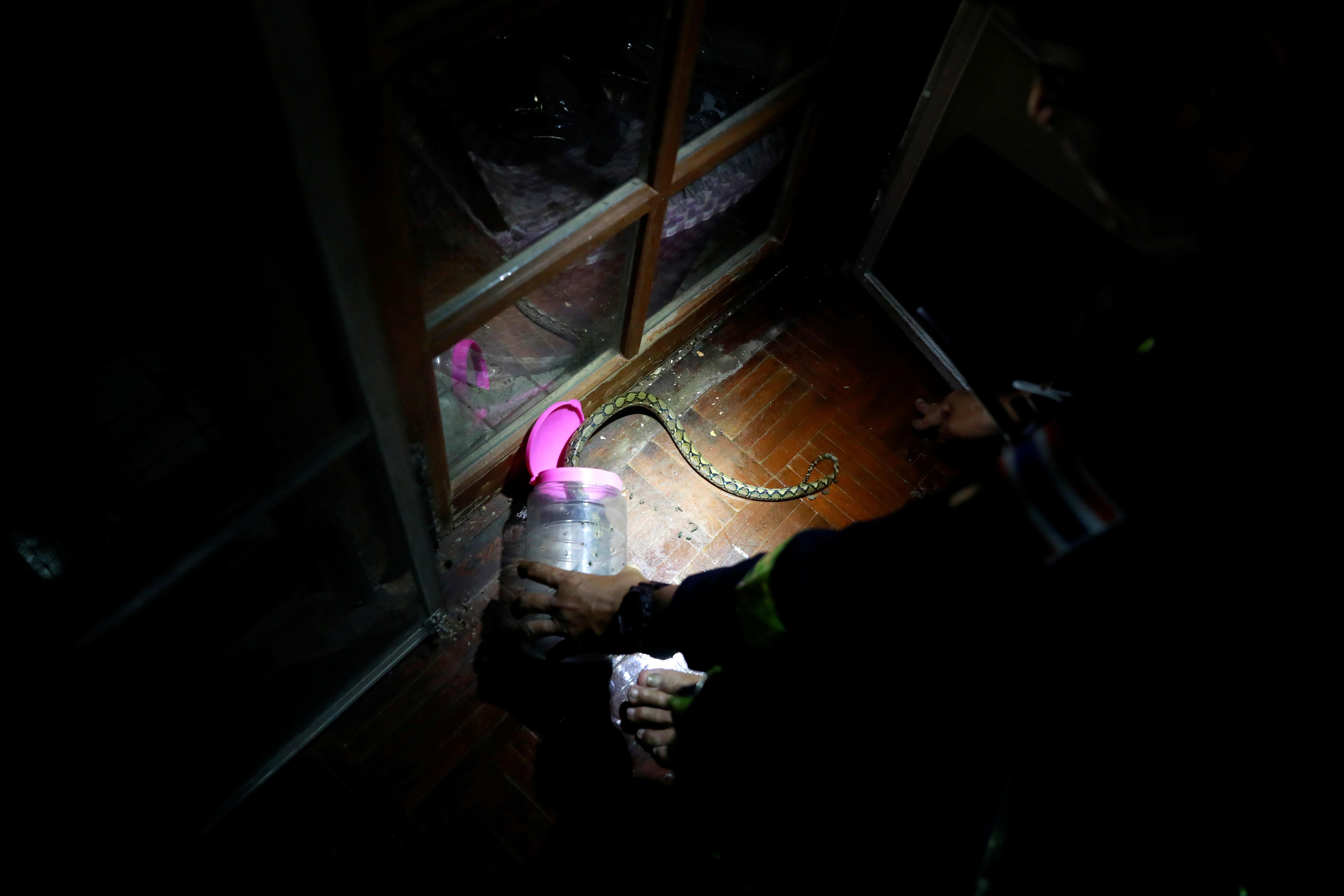 tho bat ran o Bangkok anh 7