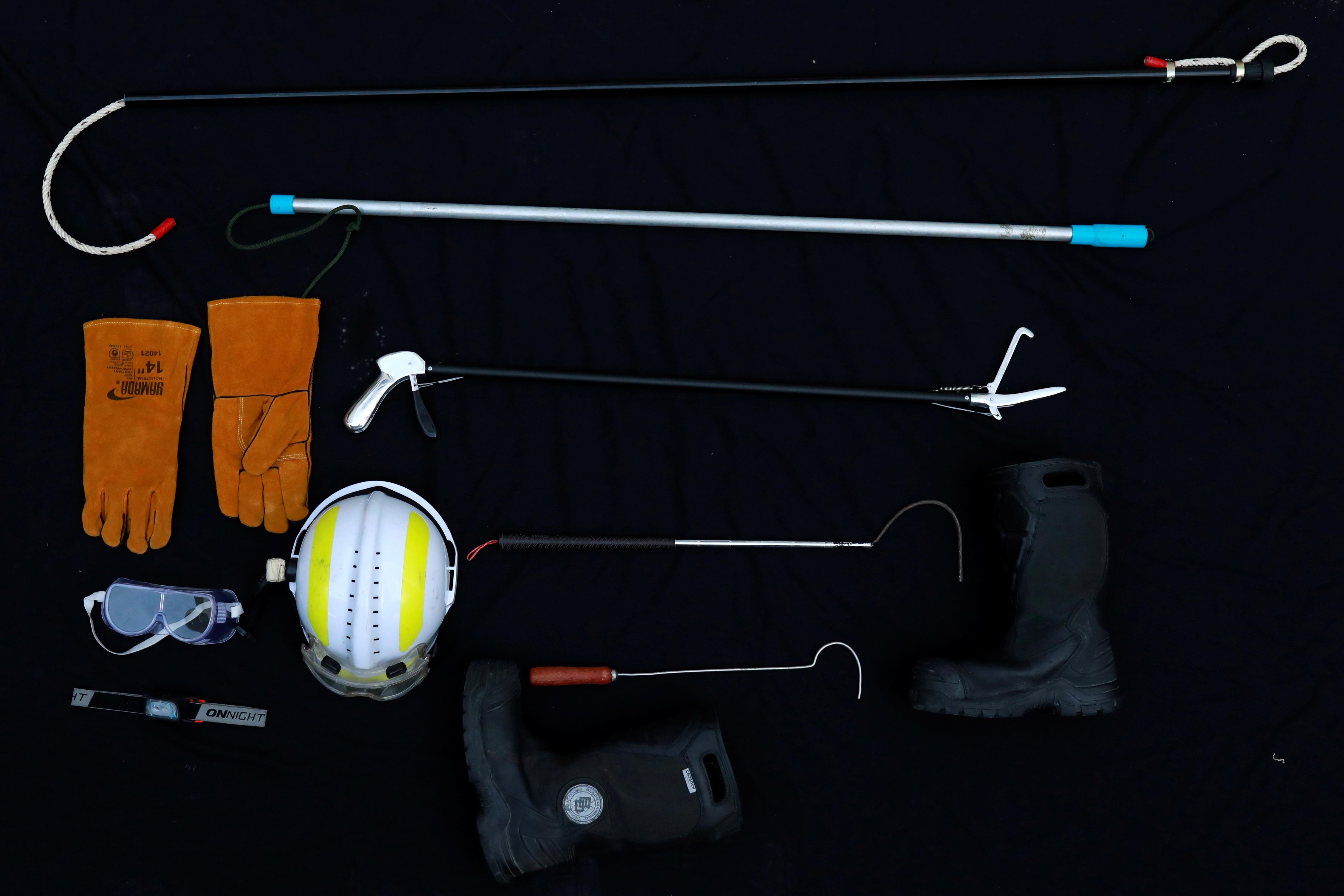 tho bat ran o Bangkok anh 12