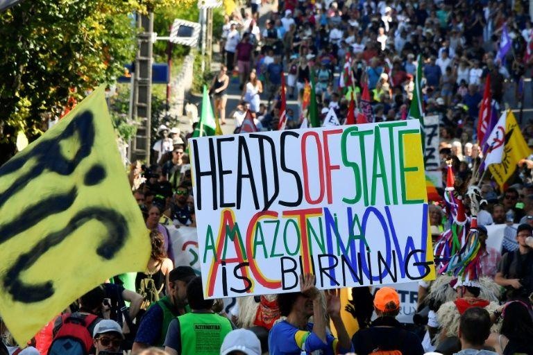 chay rung Amazon anh 6