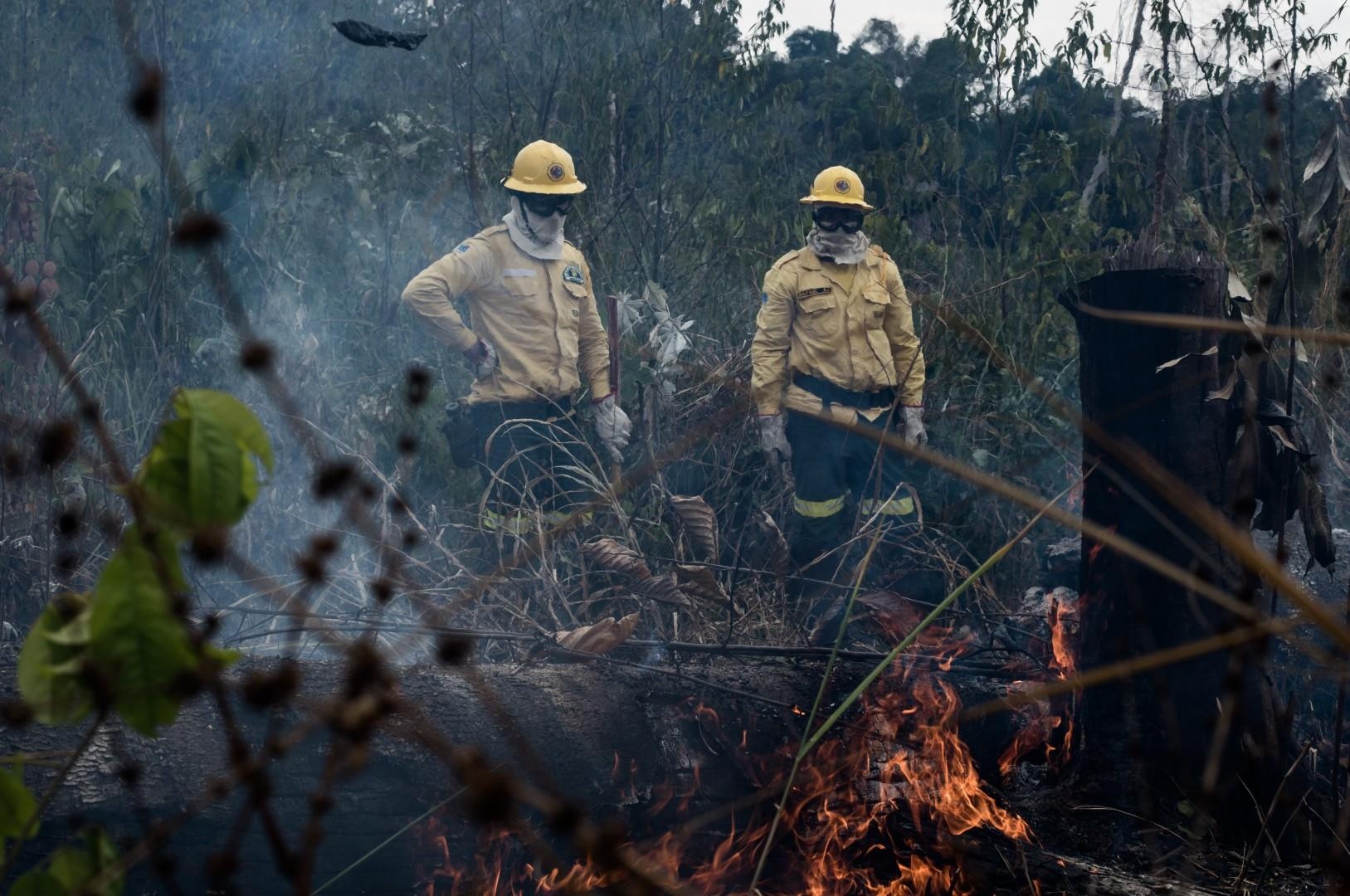 chay rung Amazon anh 7