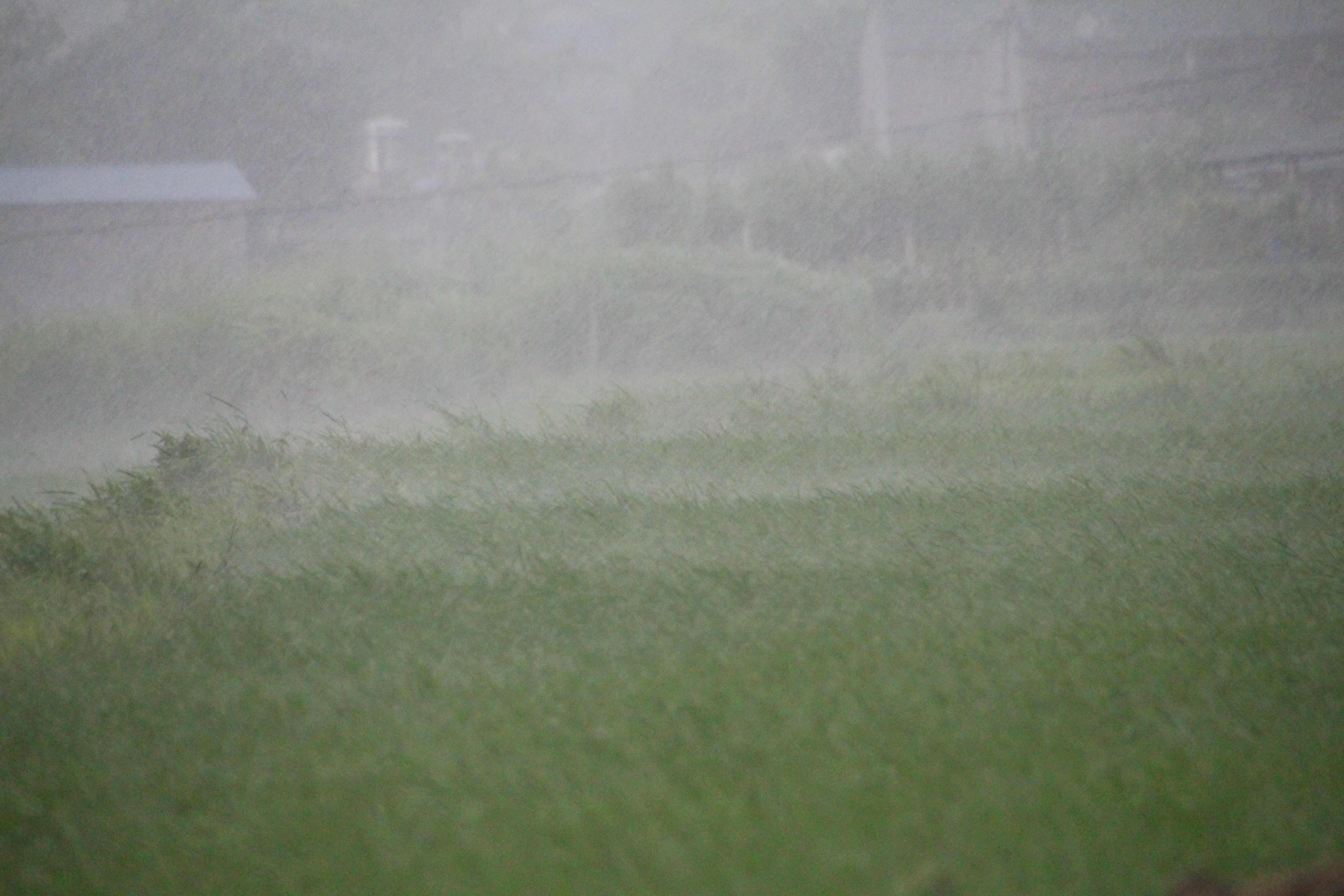 bien doi khi hau o viet nam anh 10