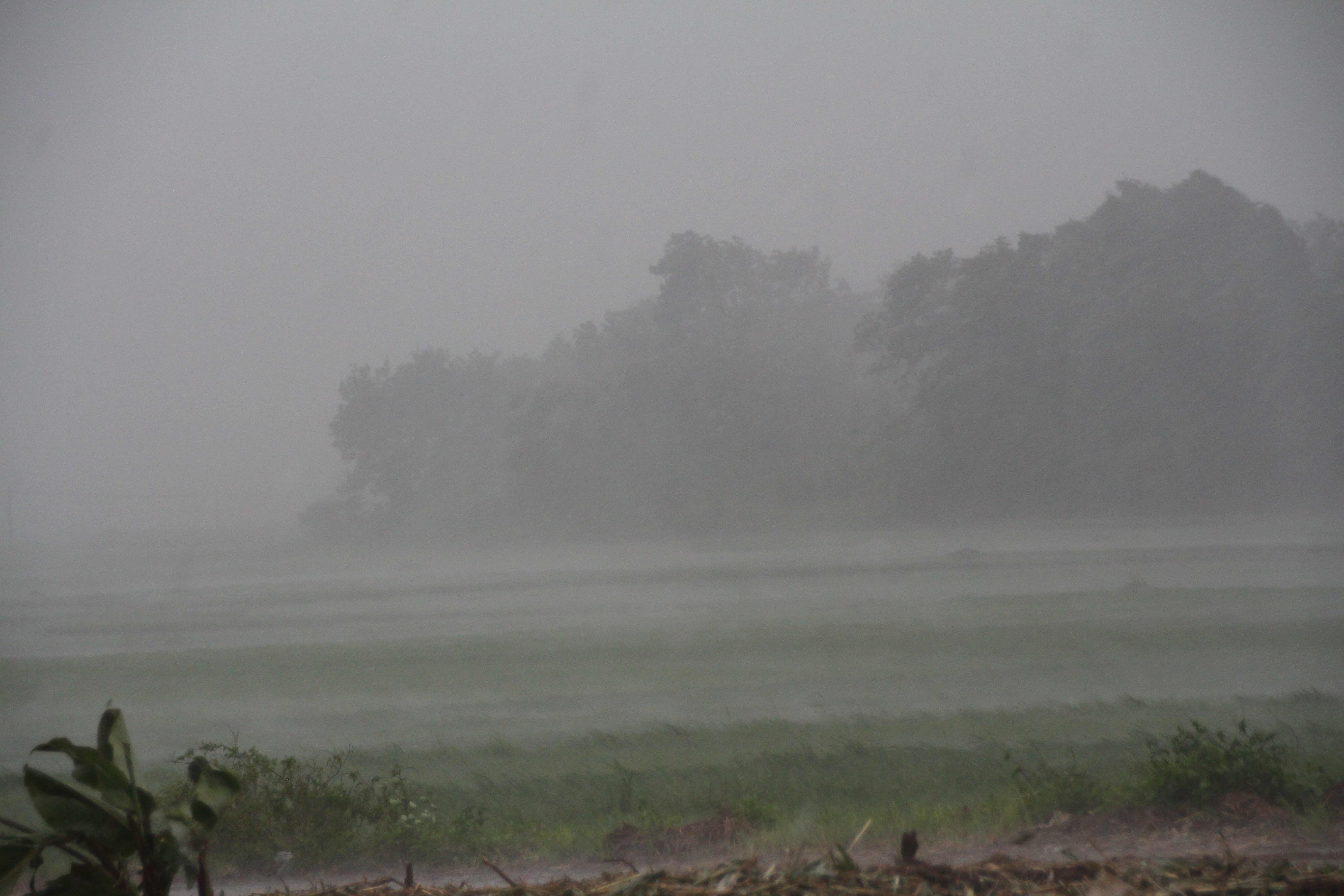 bien doi khi hau o viet nam anh 11