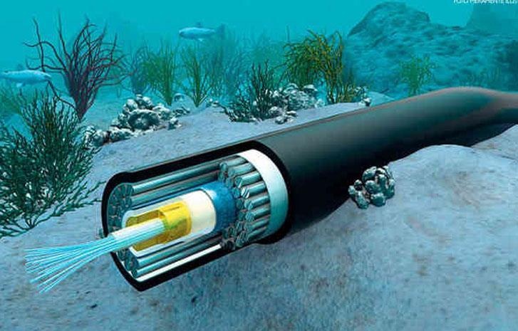 My phan doi cap quang bien noi Hong Kong vi lo ngai cong ty Trung Quoc hinh anh