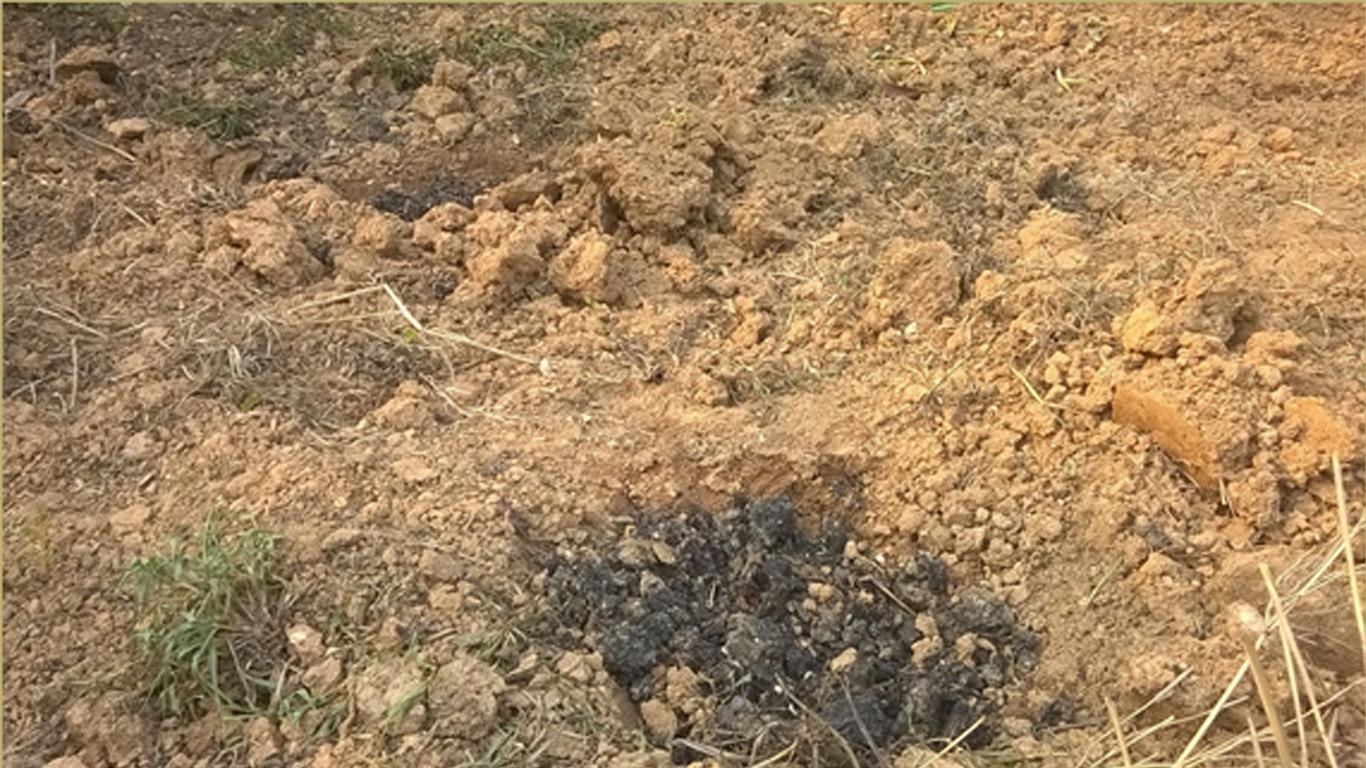 biến đổi khí hậu ở việt nam ảnh 1 bien doi khi hau o viet nam anh 1