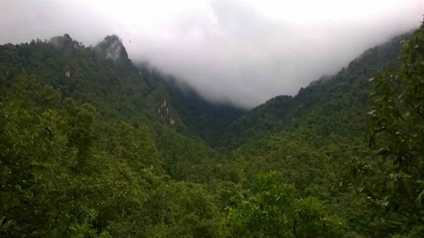 biến đổi khí hậu ở việt nam ảnh 5 bien doi khi hau o viet nam anh 5