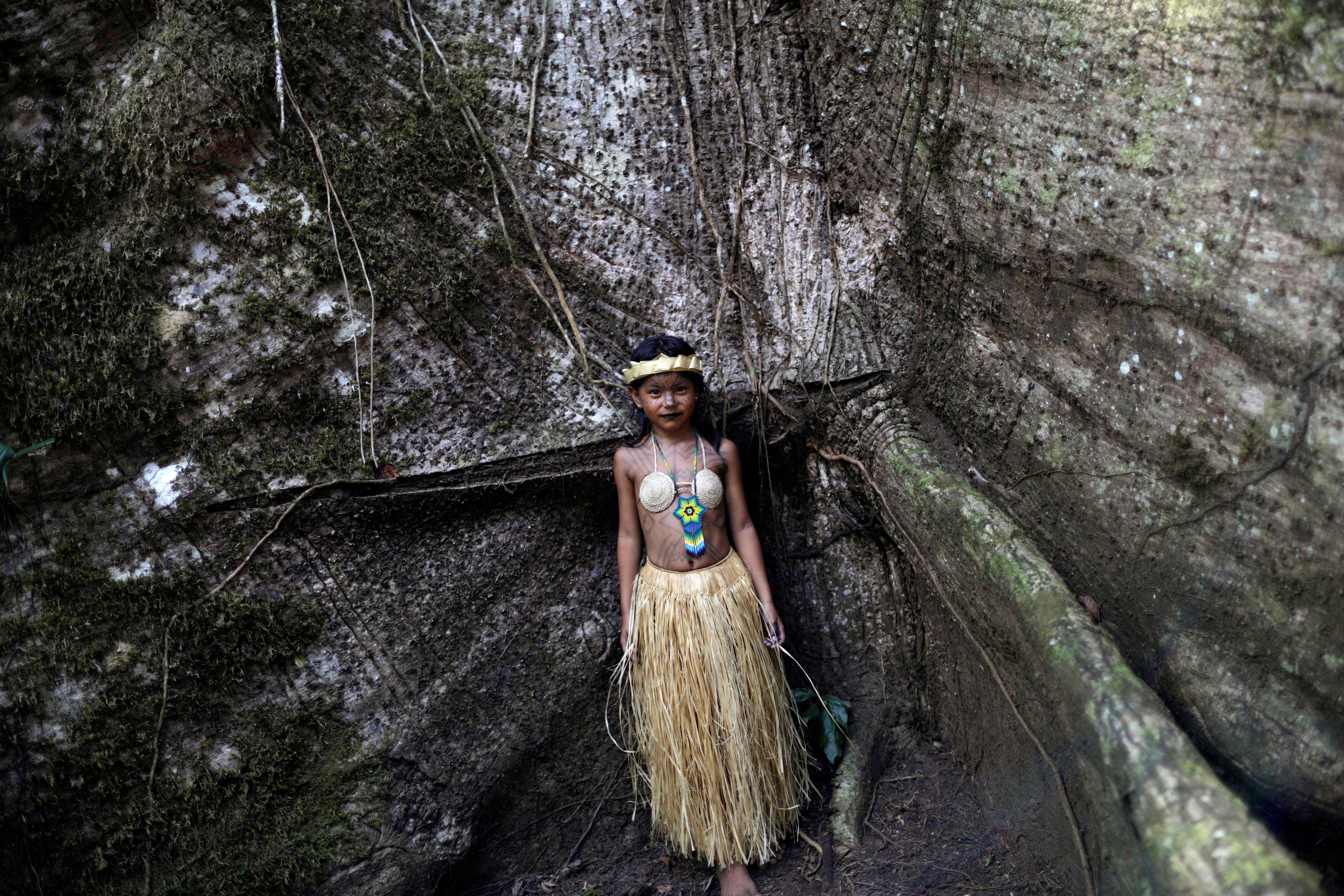 bo lac ban dia Brazil anh 10