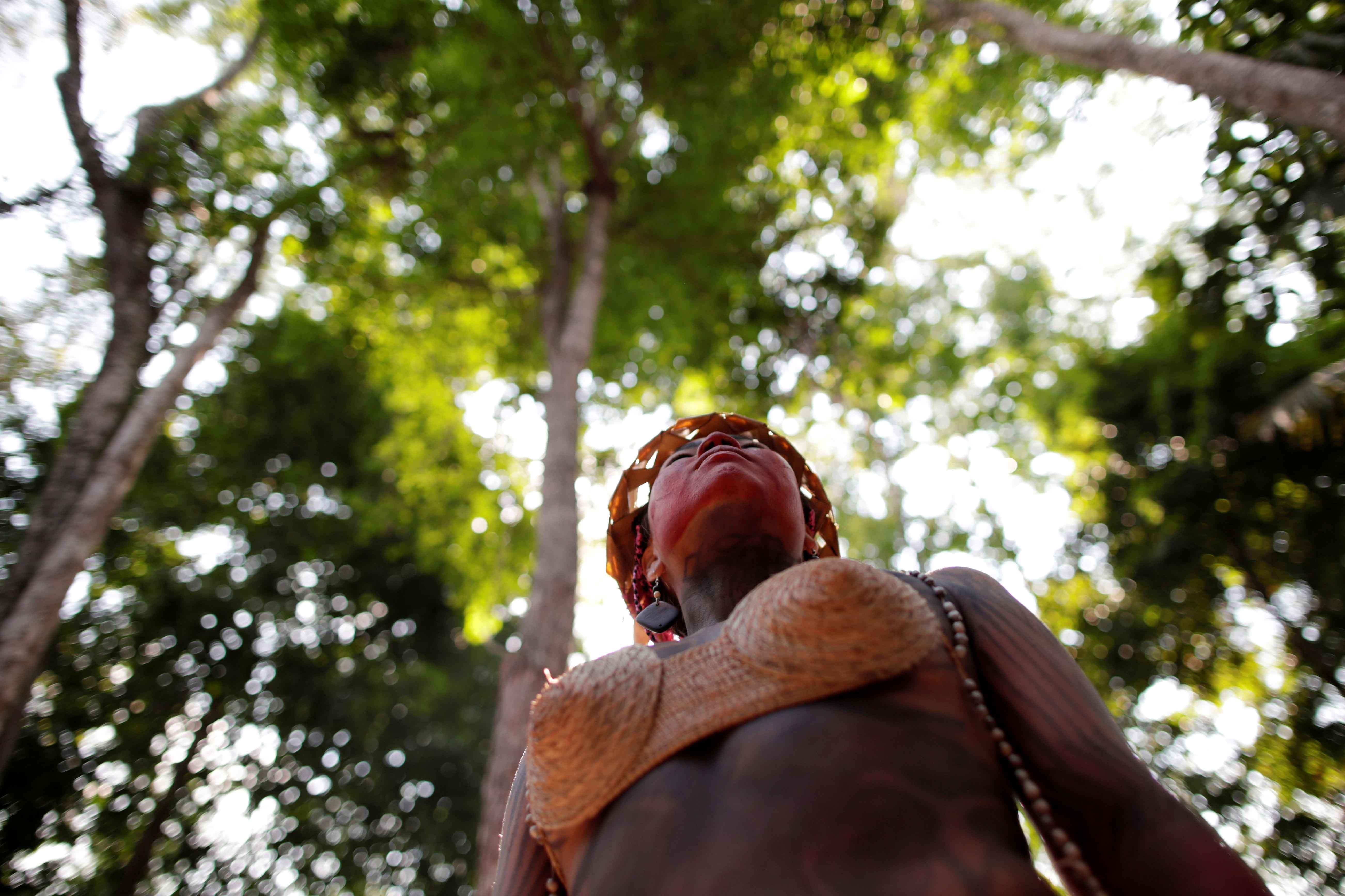 bo lac ban dia Brazil anh 13