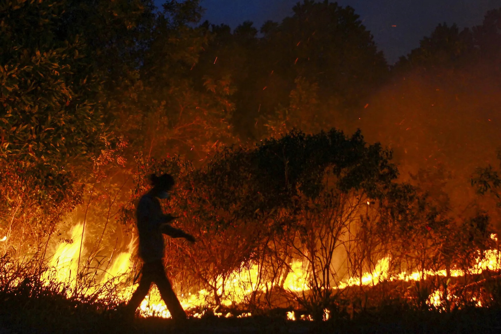 cháy rừng Indonesia Malaysia Singapore ngạt thở ảnh 8 chay rung Indonesia Malaysia Singapore ngat tho anh 8