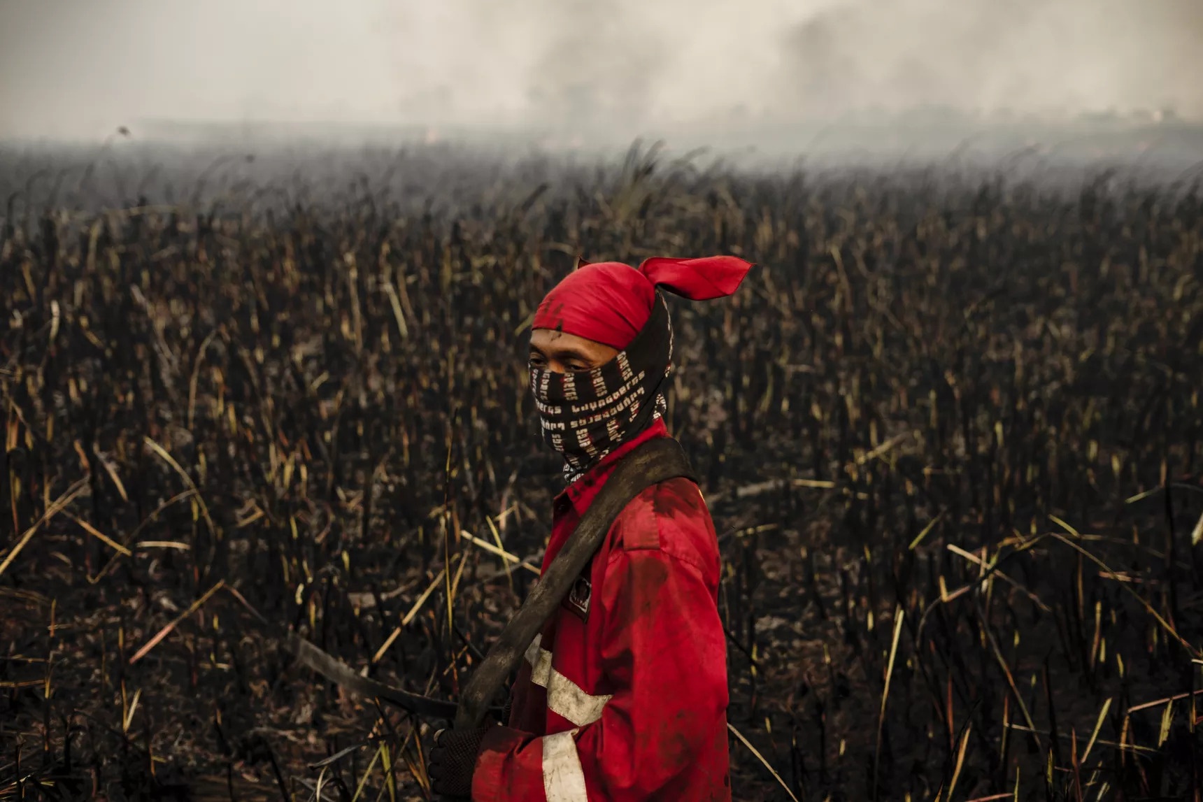 cháy rừng Indonesia Malaysia Singapore ngạt thở ảnh 9 chay rung Indonesia Malaysia Singapore ngat tho anh 9