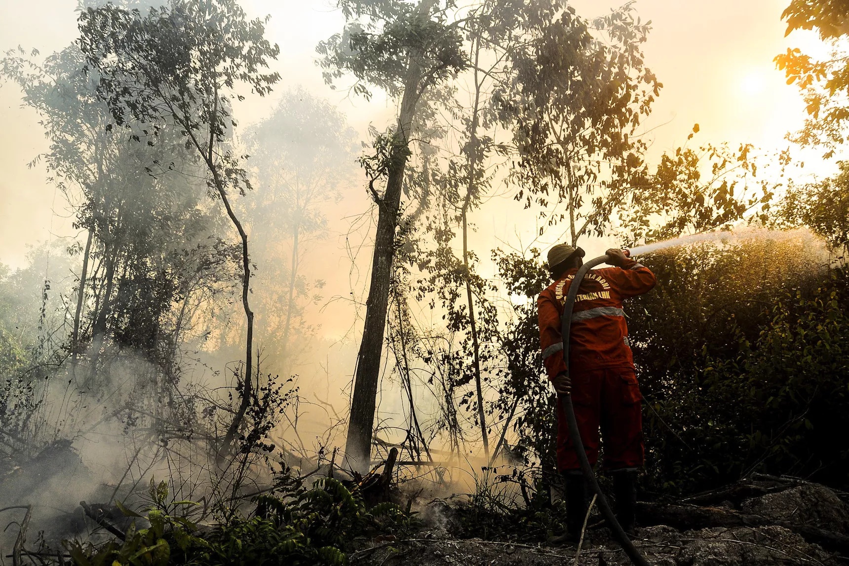 cháy rừng Indonesia Malaysia Singapore ngạt thở ảnh 10 chay rung Indonesia Malaysia Singapore ngat tho anh 10