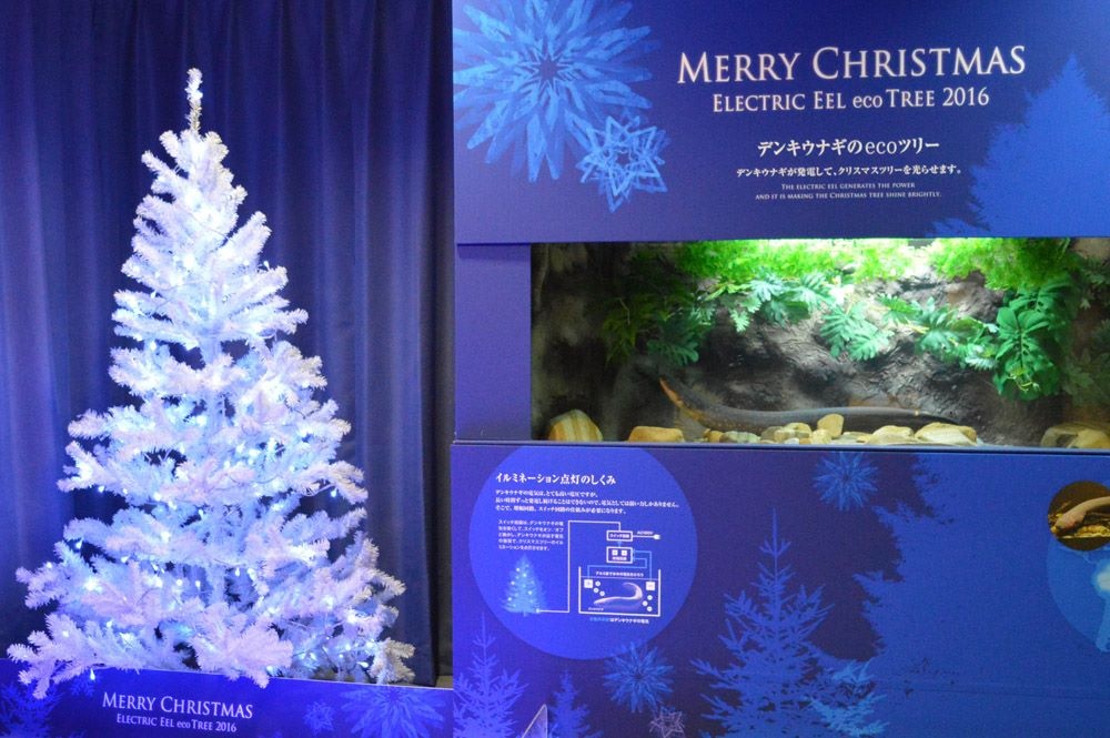 dùng lươn điện làm máy phát điện ảnh 2 dung luon dien lam may phat dien anh 2